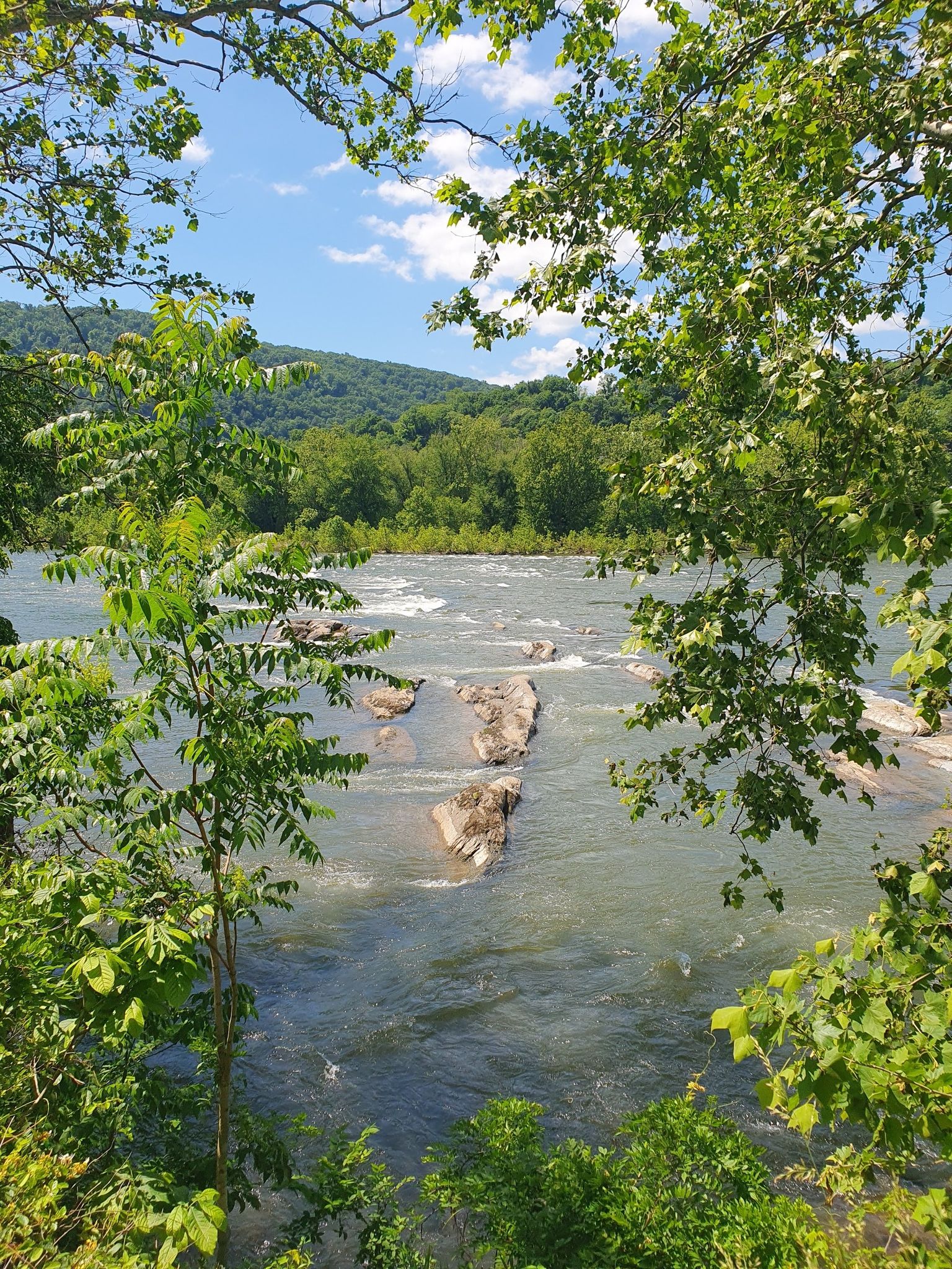 Sunny river rapids framed by green trees, with distant mountains. - Hiking loop from Harpers Ferry
