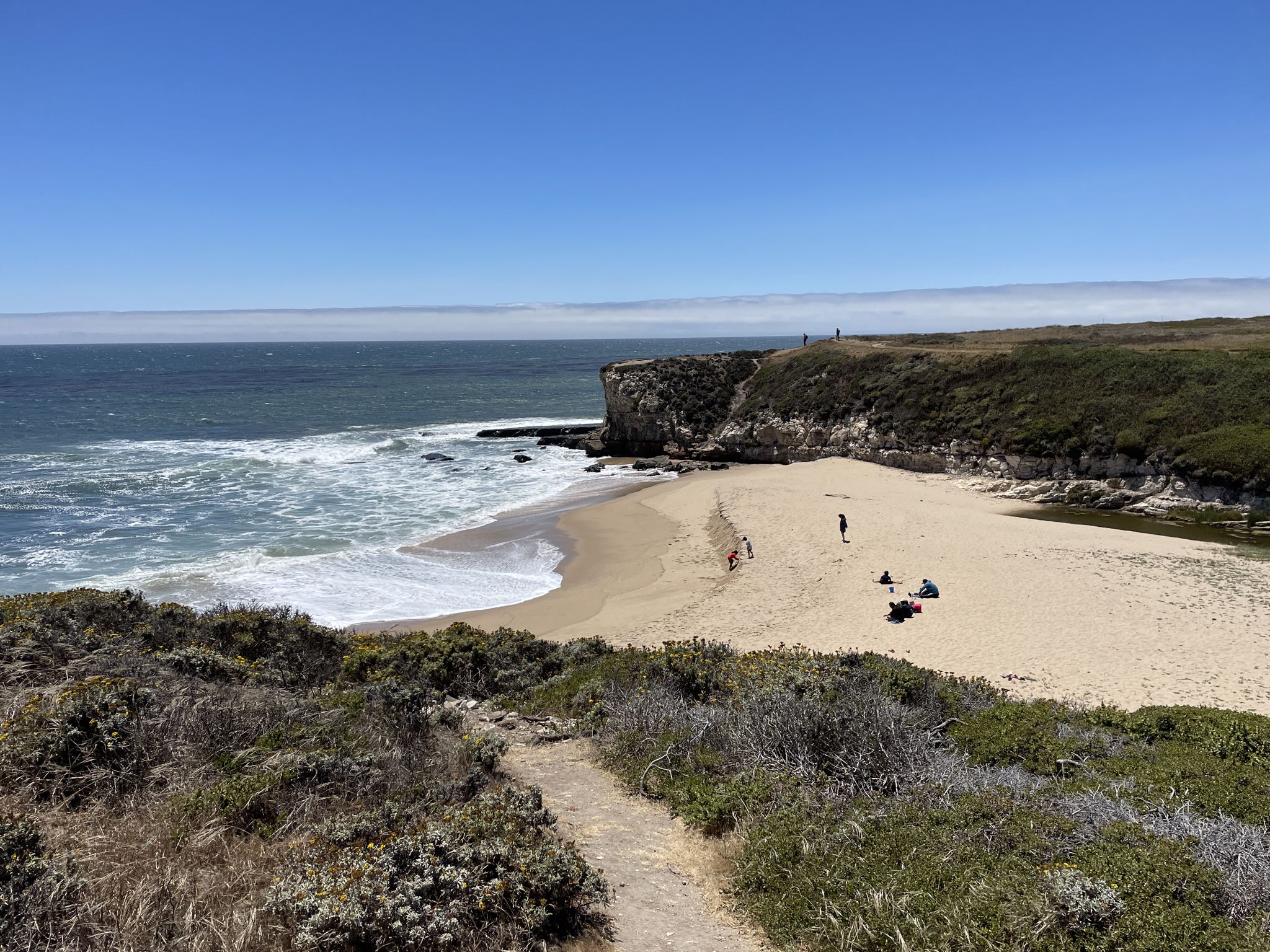 Sunny beach with people and waves, framed by coastal cliffs and bushes. - Old Cove Landing Trail to Sand Plant Beach