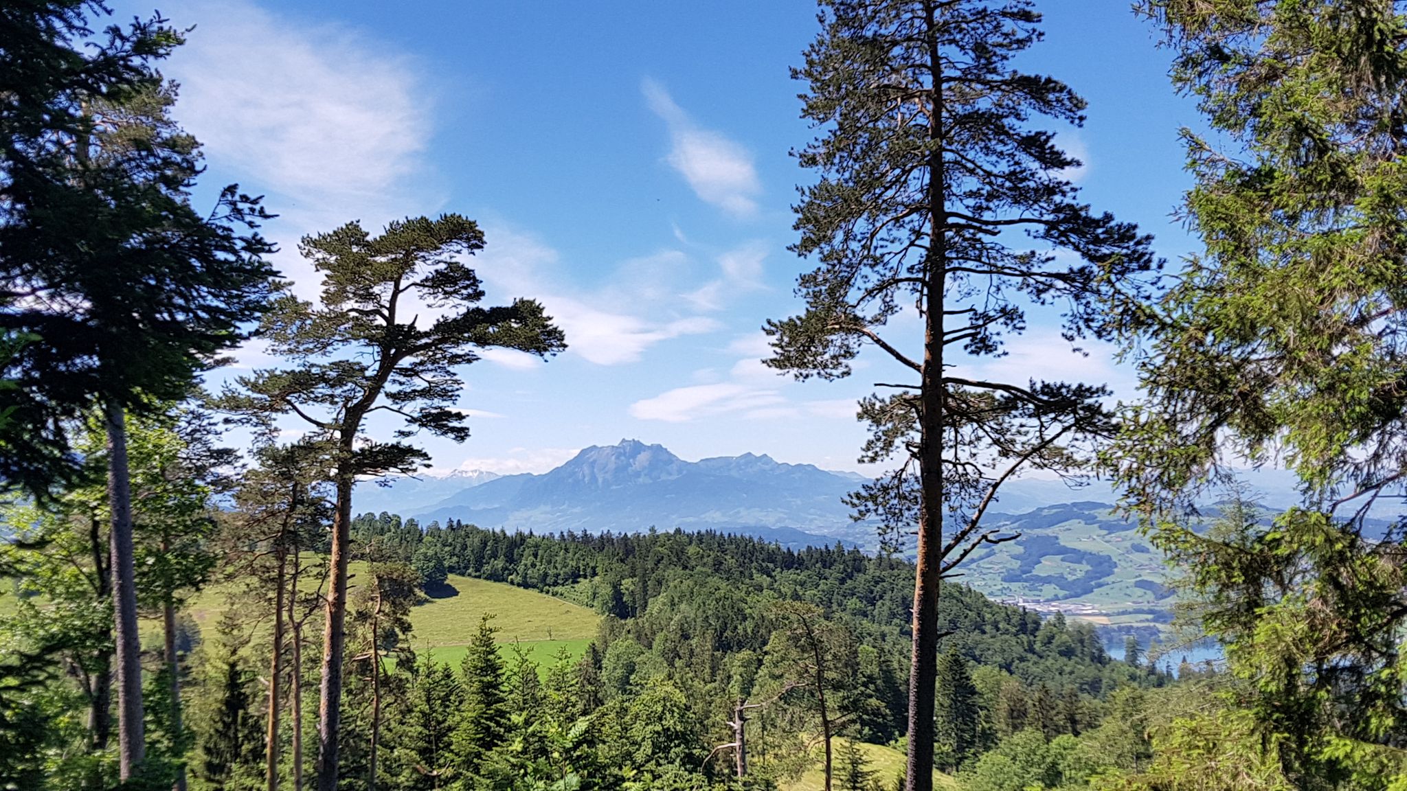 Hünggigütsch 1010 m mit Blick zum Pilatus