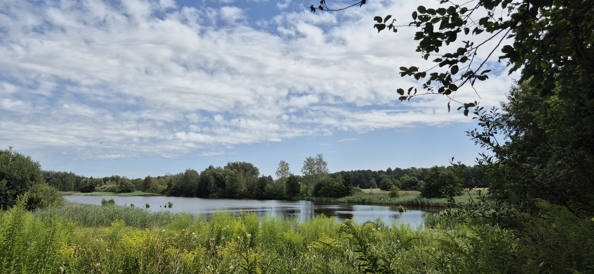 Naturschutzgebiet Varsberg