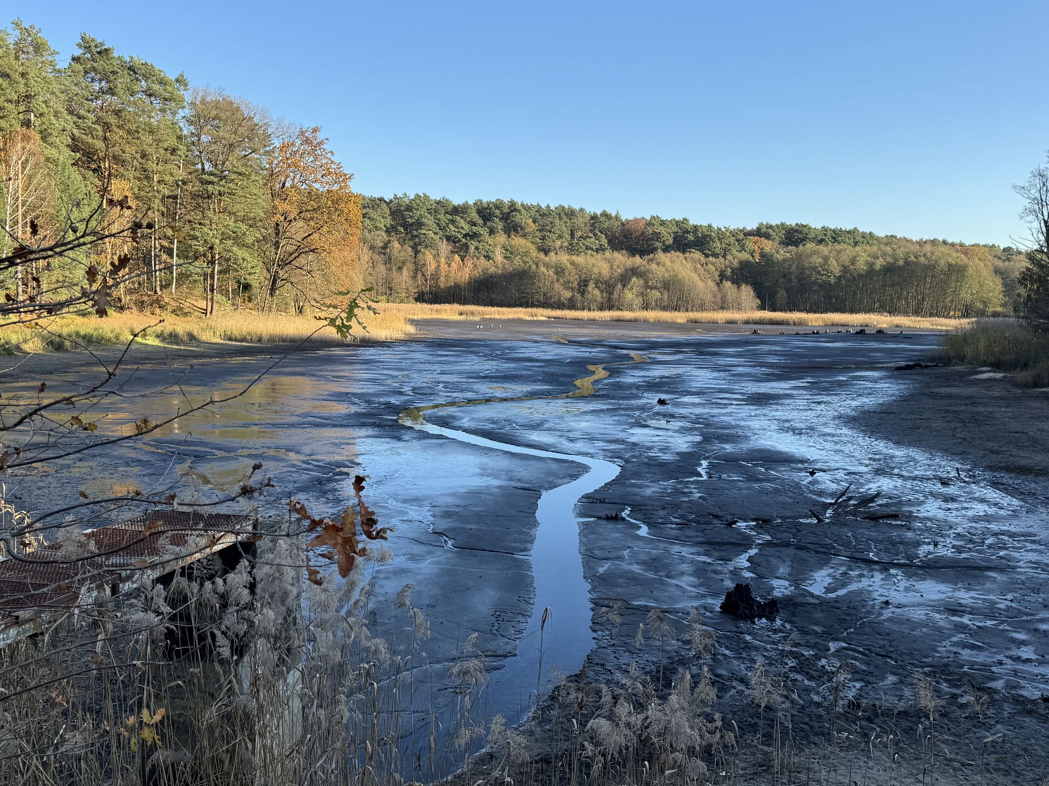 Wattenmeer im Schlaubetal