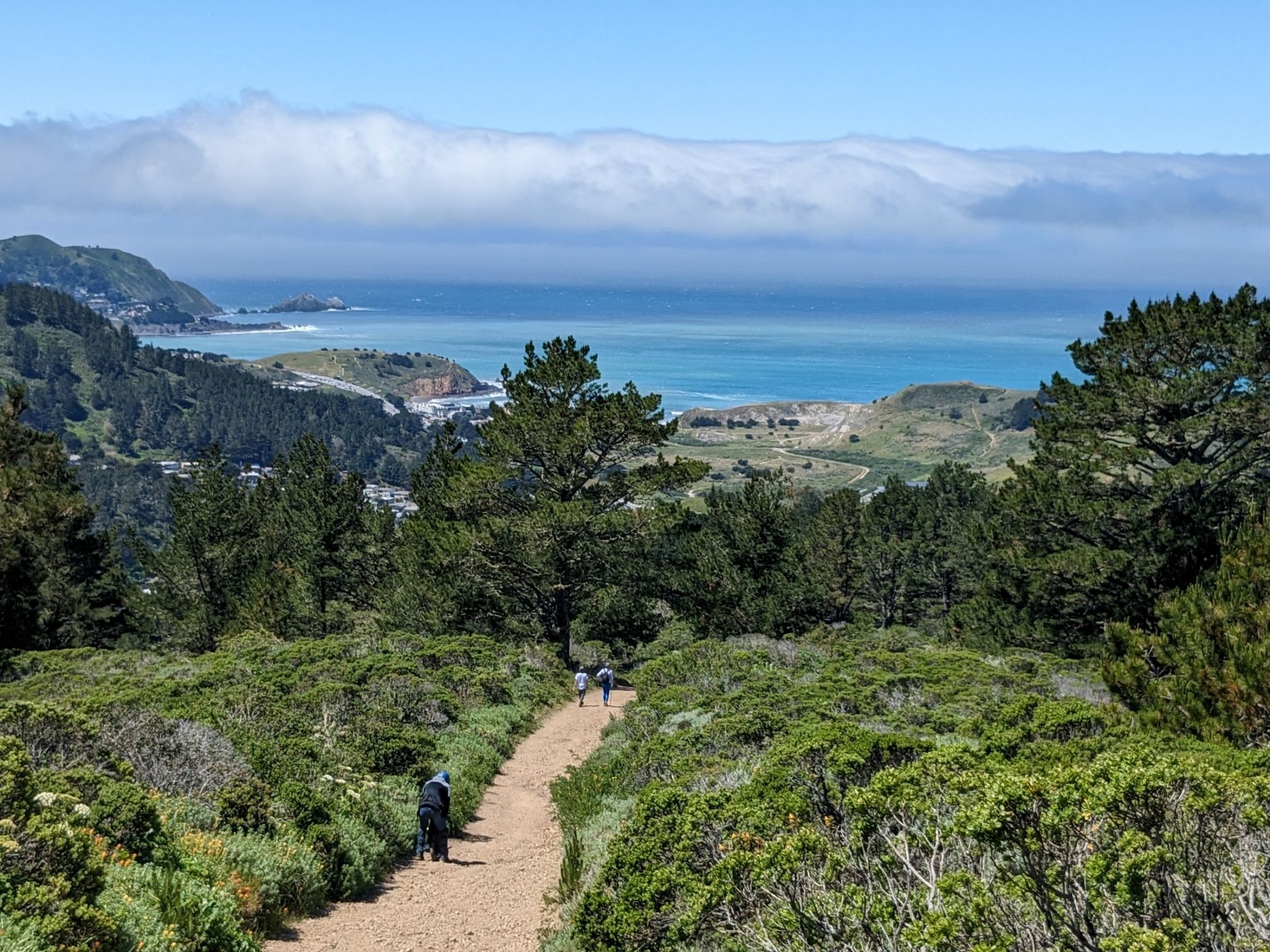 Hikers walk on a dirt path through green trees overlooking the ocean. - Mori Point Headlands – Rockaway Beach loop from Milagra Ridge