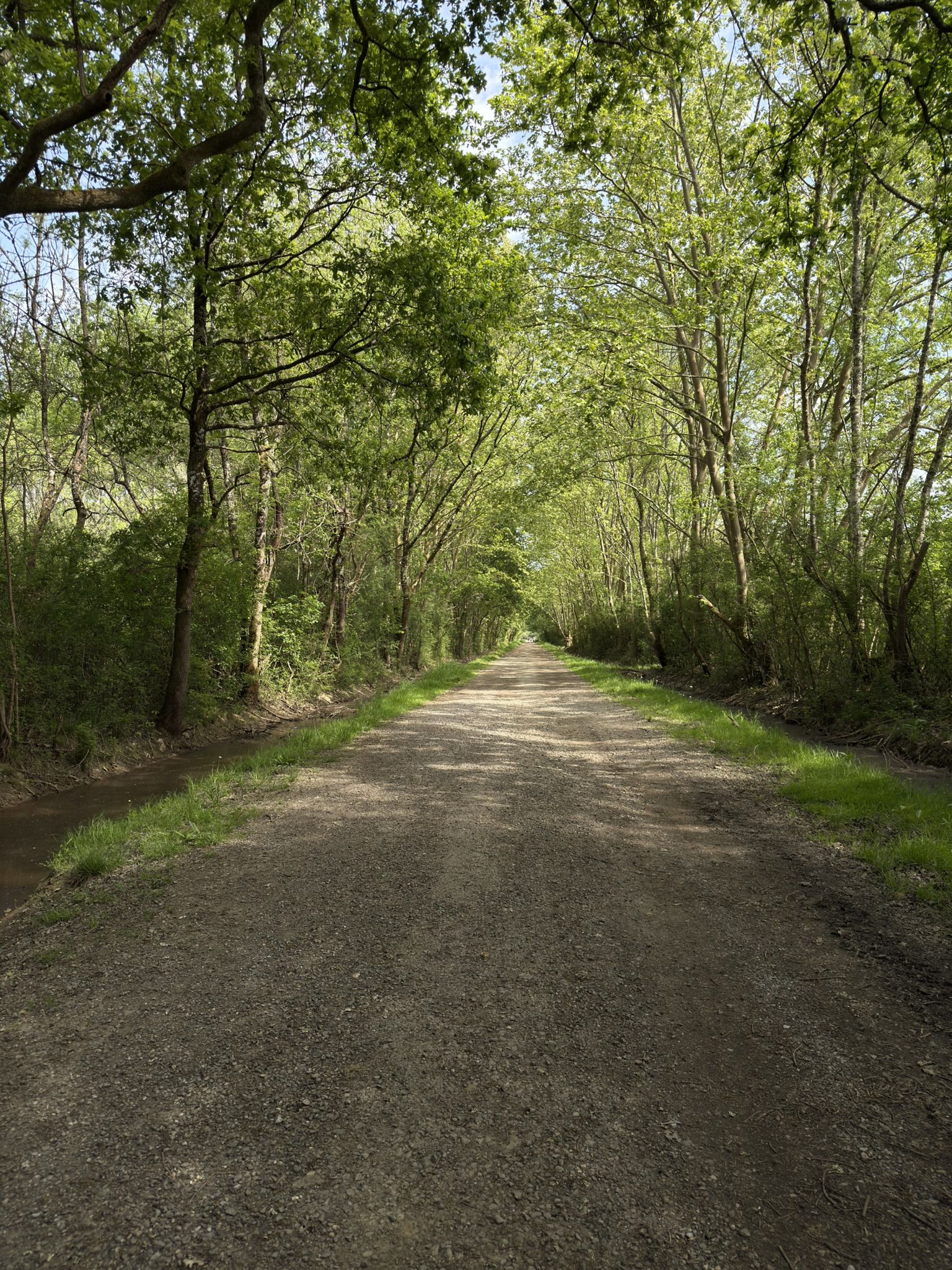 Piste du bois de Boulogne