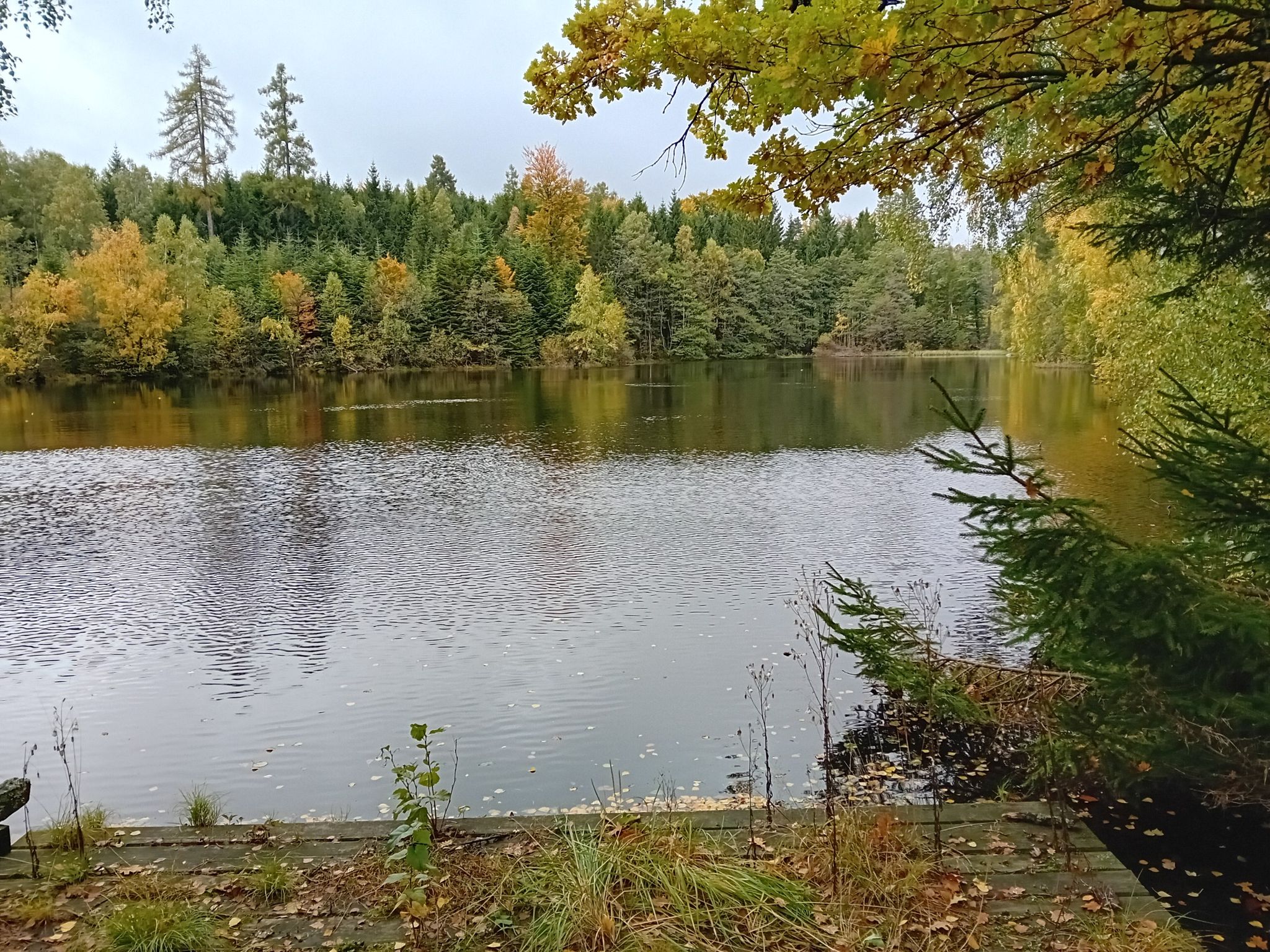 Holzteich