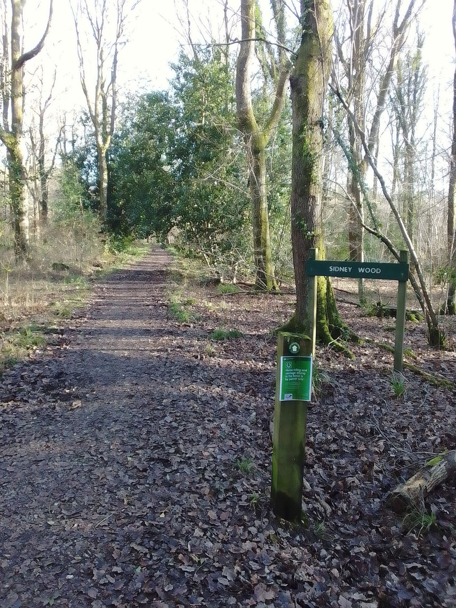 good track not too muddy
