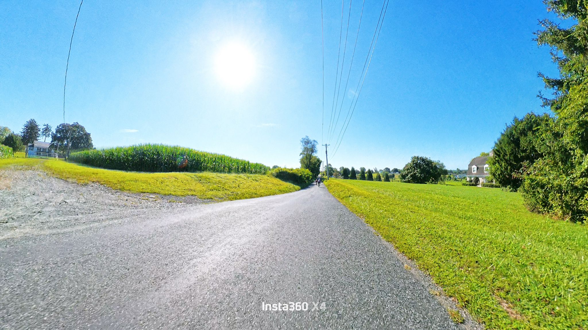 Bright sunny day on a rural road between a cornfield and green grass. - Rock Run Stream and Waterfall – Susquehanna State Park loop from Churchville