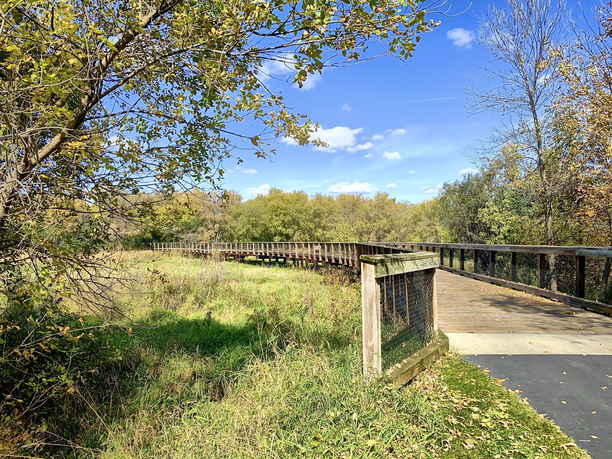 Wooden boardwalk bridge over grassy wetland, surrounded by autumn trees. - Valley Trail – Elm Creek Park Trailhead loop from Elm Creek