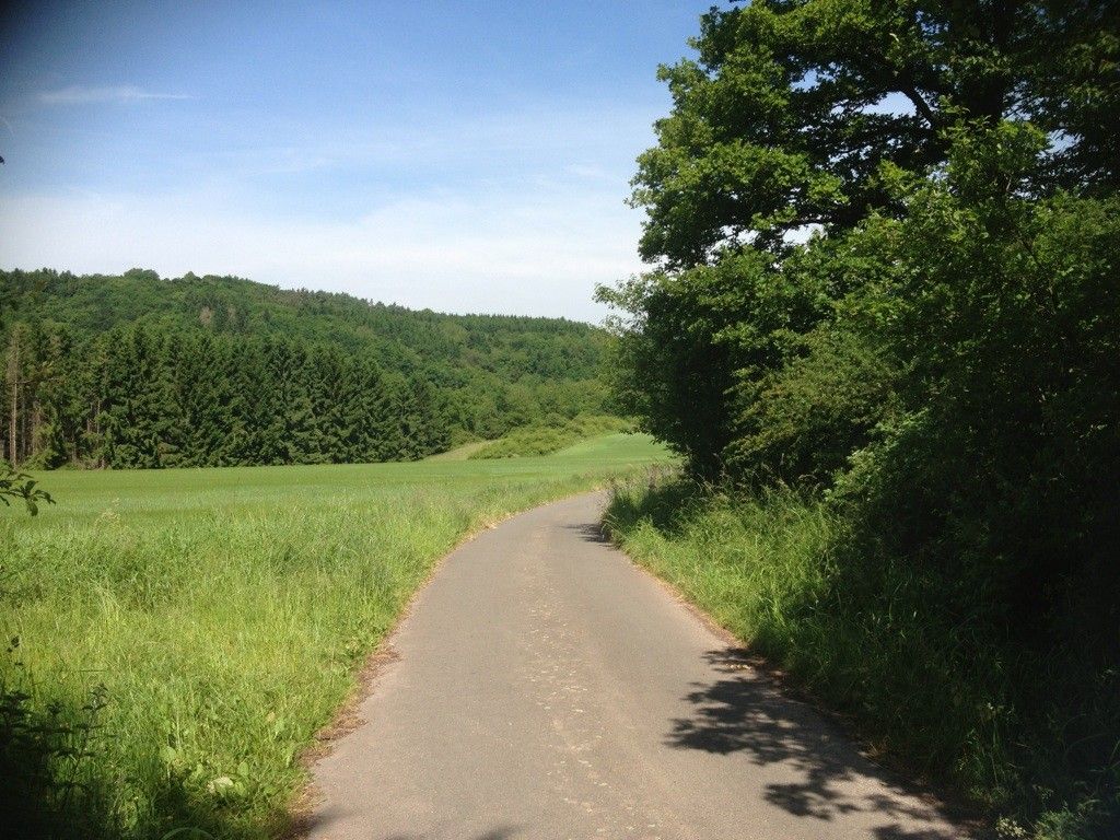 Rofu-trail