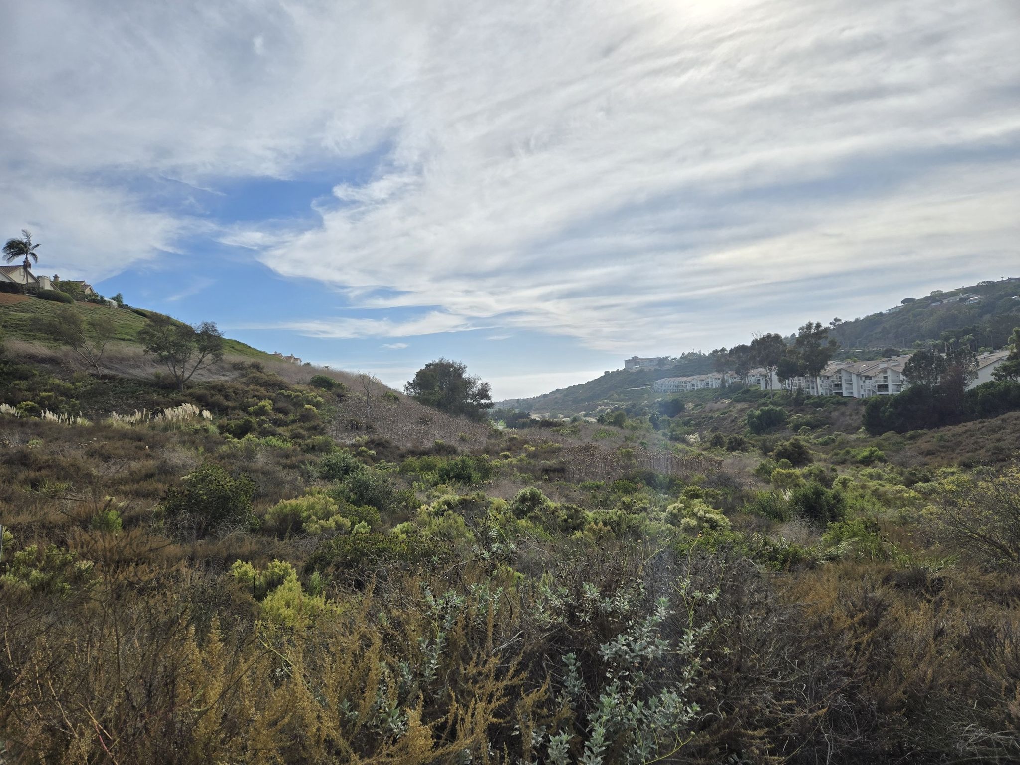 Sunny, brush-covered hills overlooking a distant ocean under a bright, cloudy sky. - Salt Creek Trail Loop