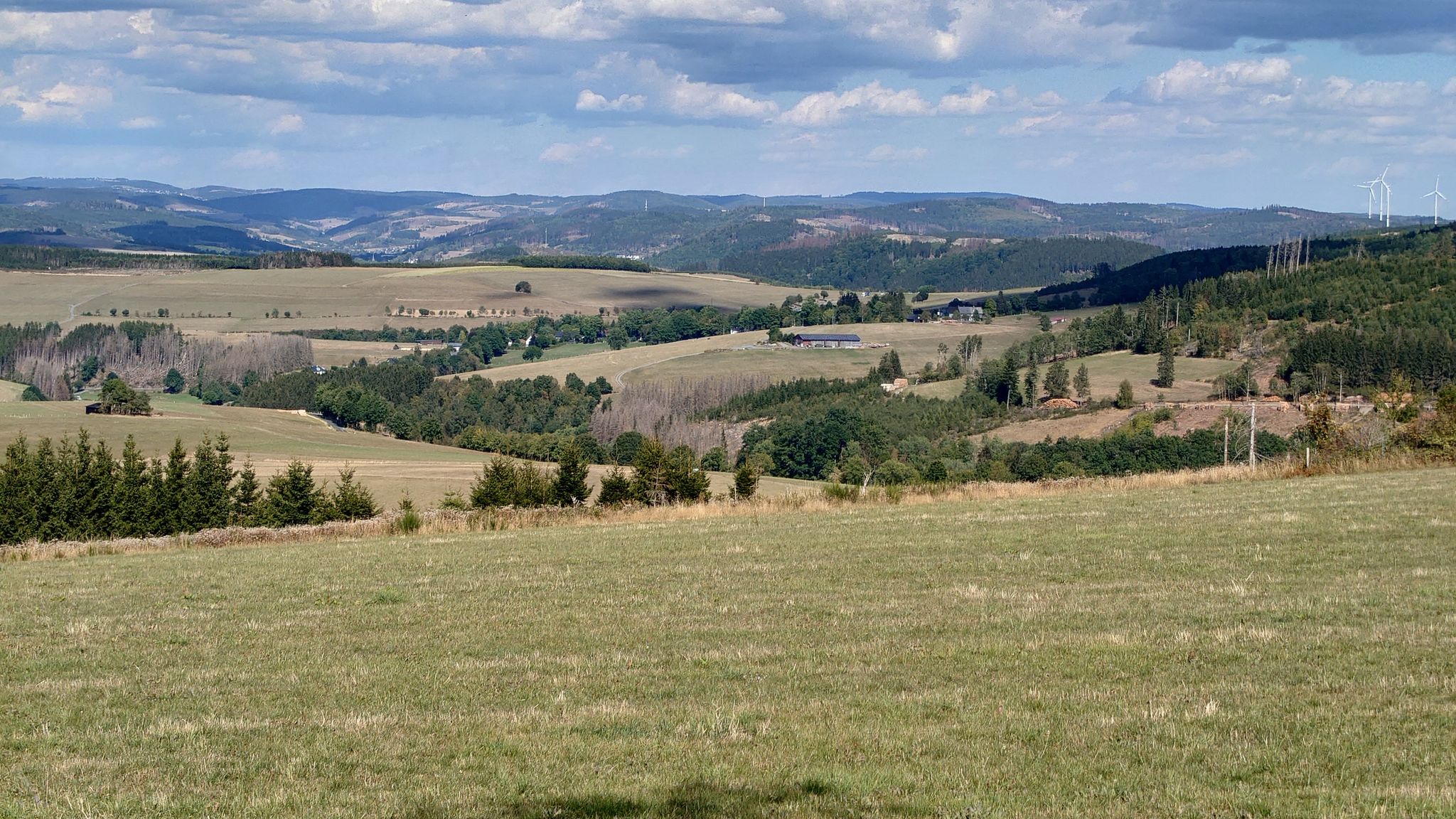 Auf der Leimstruth: Blick ins Edertal