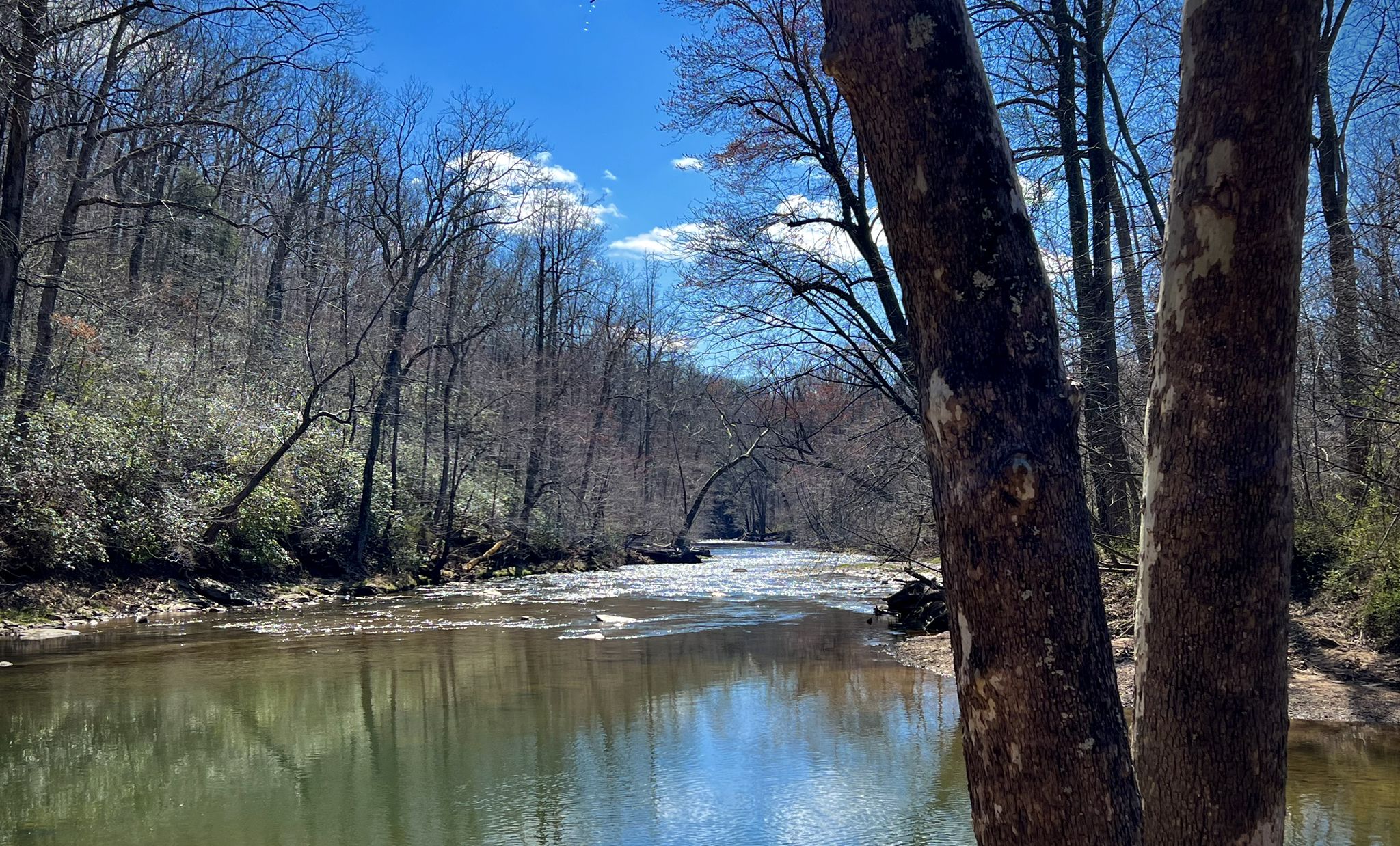 A river flows through a bare forest under a bright blue sky. - Seneca Creek State Park – Black Rock Mill loop from North Potomac