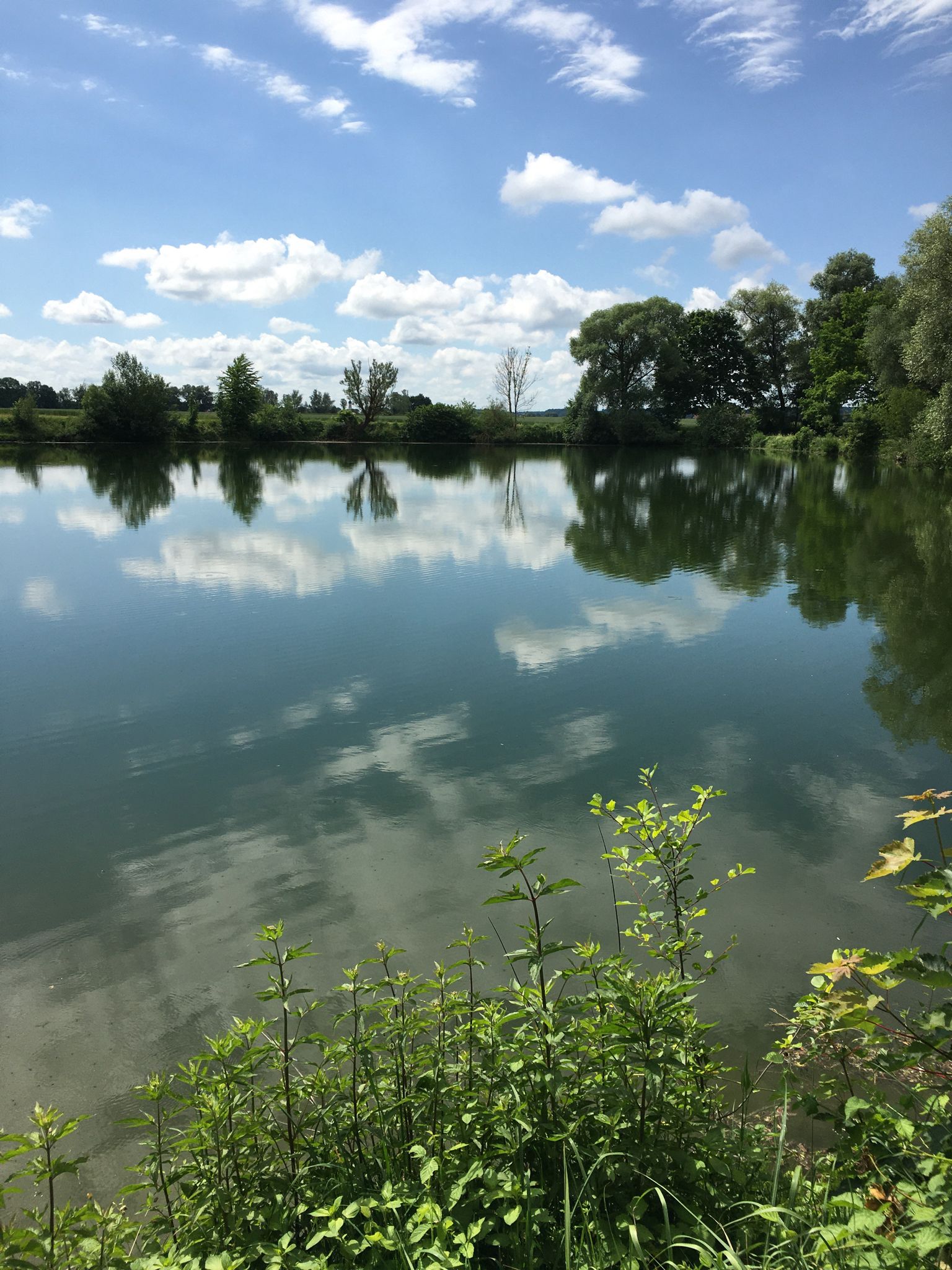 Weiher 