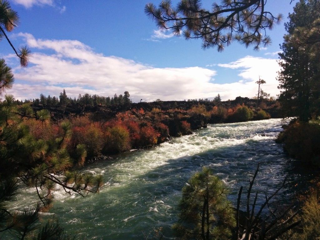 Rushing river with colorful autumn foliage and dark rock formations. - Deschutes River Trail: Meadow Day Use Area to Lava Island