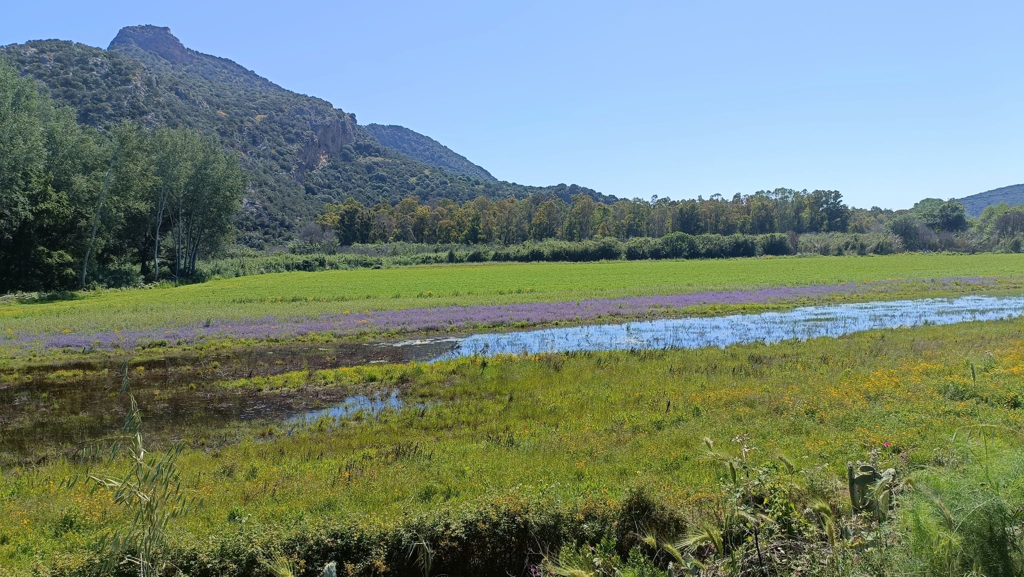 Campagna nell'Ogliastra