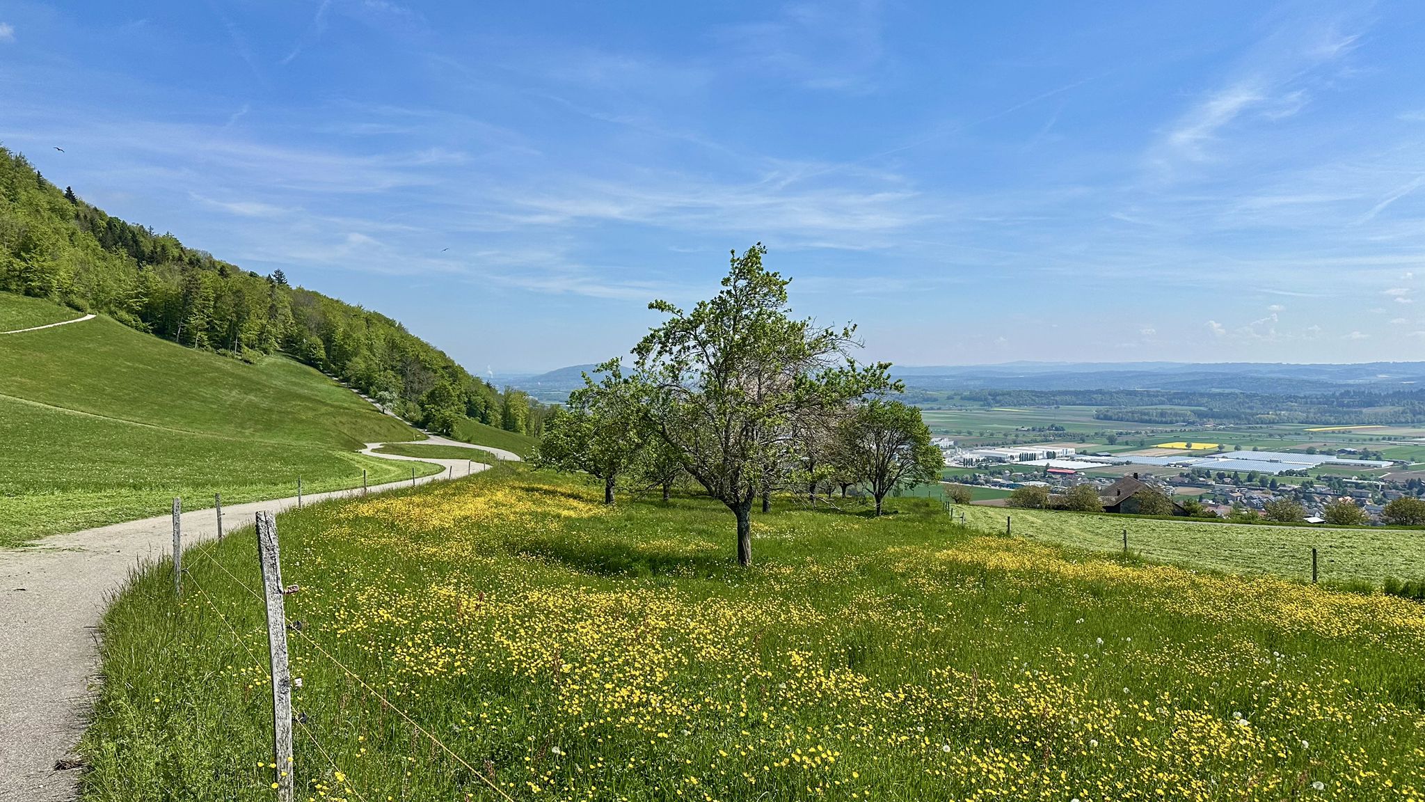...wie immer von Walden bis Niederbipp >> sausen lassen😇...