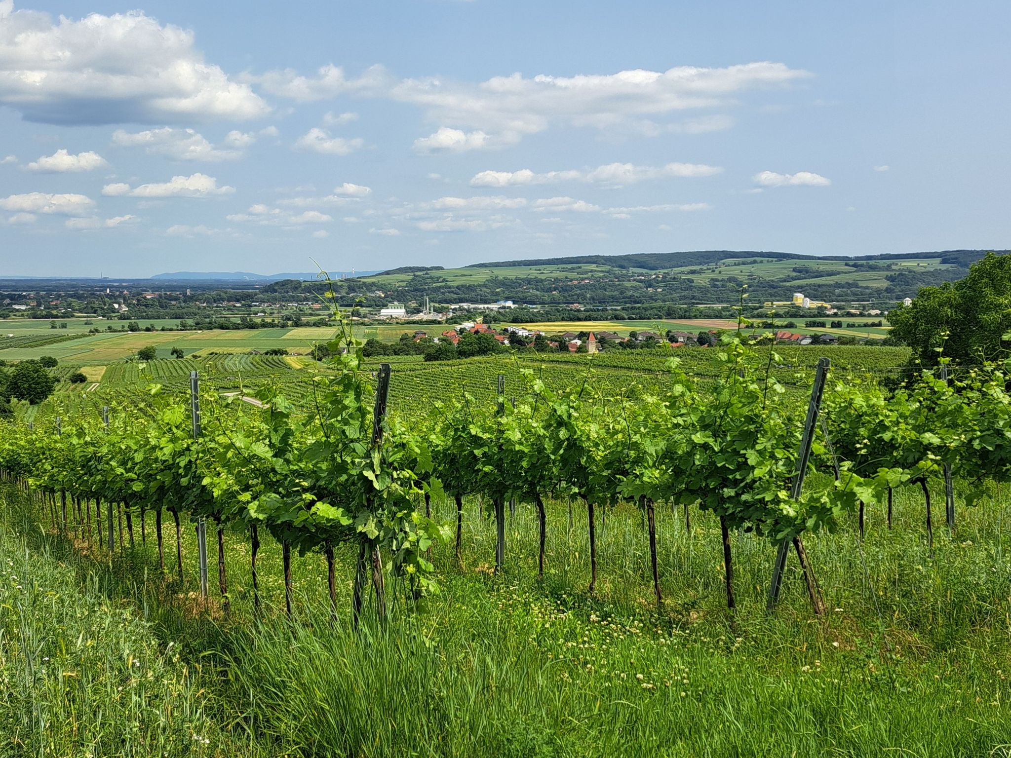 Nussdorf