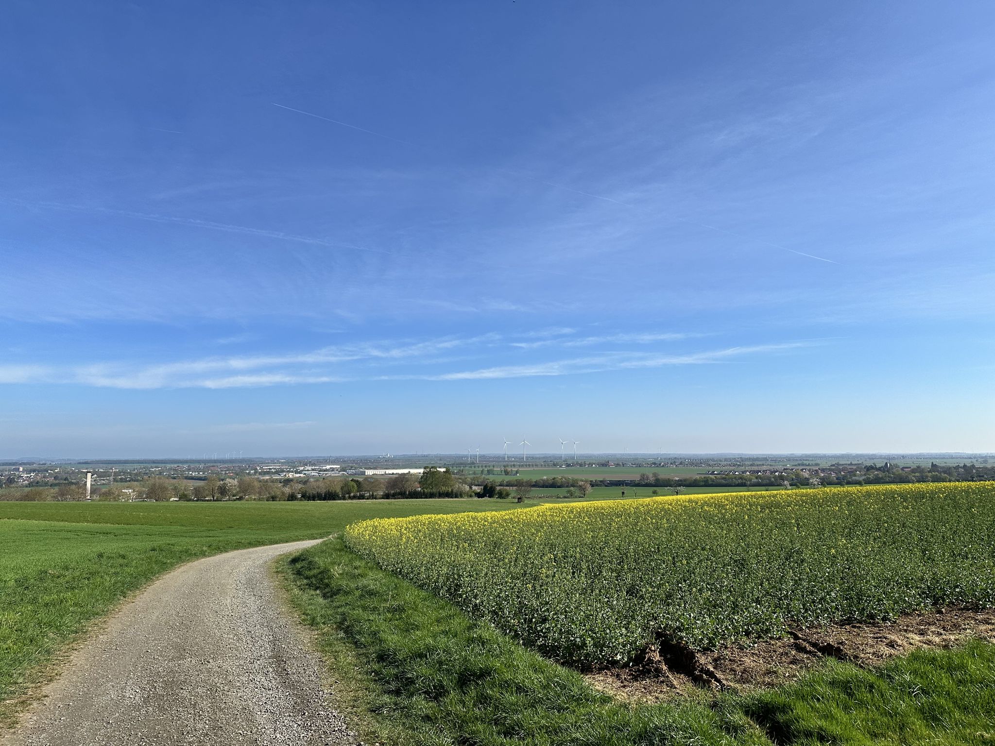 Blick vom Galgenberg in die Hildesheimer Börde.