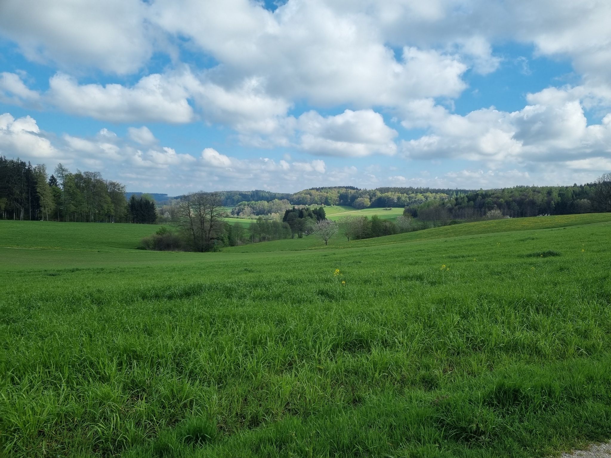 Schöne Aussicht