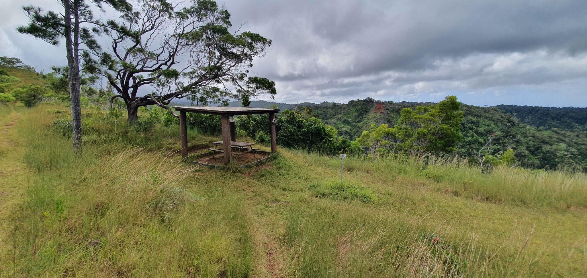 Wooden shelter on a grassy hill overlooking a forested valley under cloudy skies. - Manana Ridge Trail
