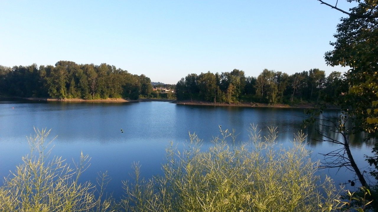 Serene lake surrounded by lush green forest under a clear blue sky. - Veteran's Memorial Greenway