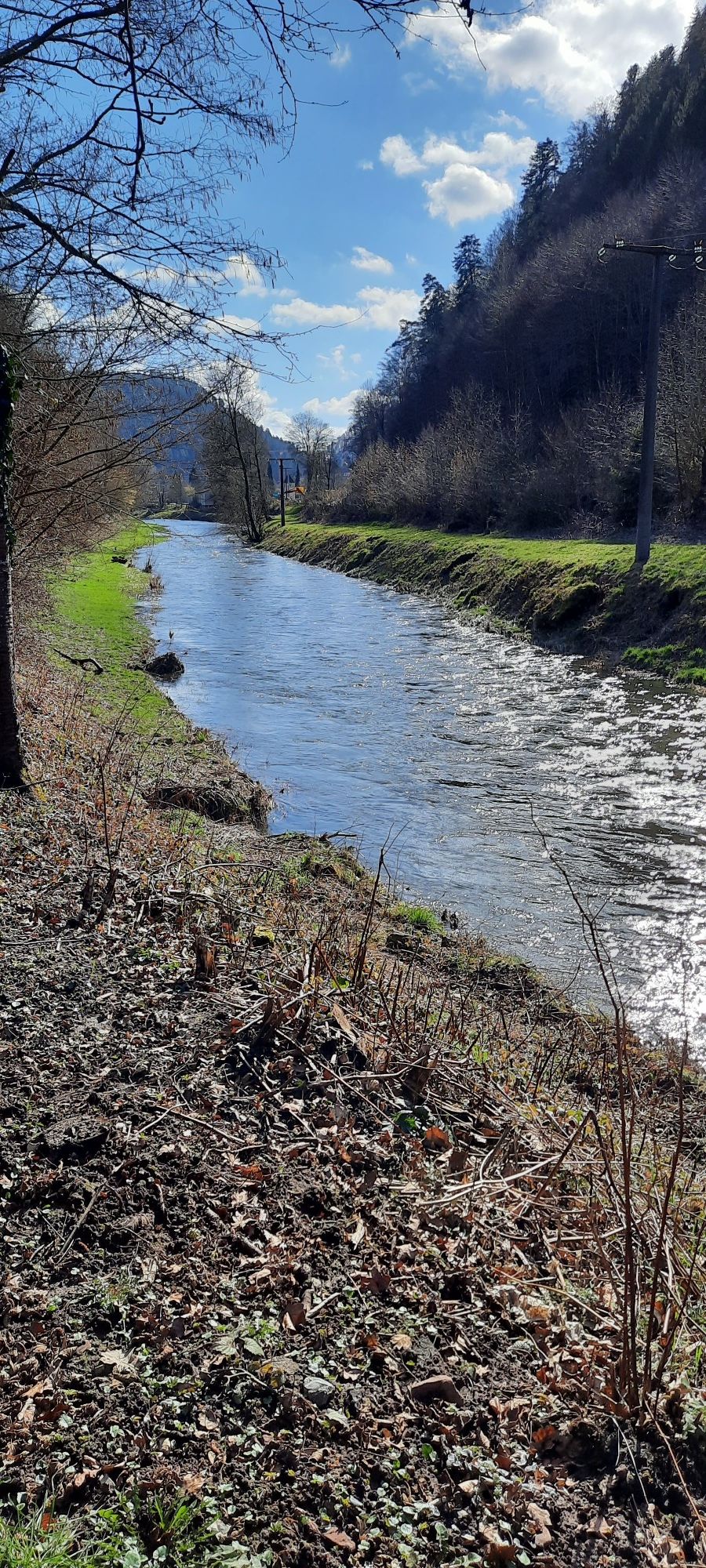 Nagold bei Bad Liebenzell.
