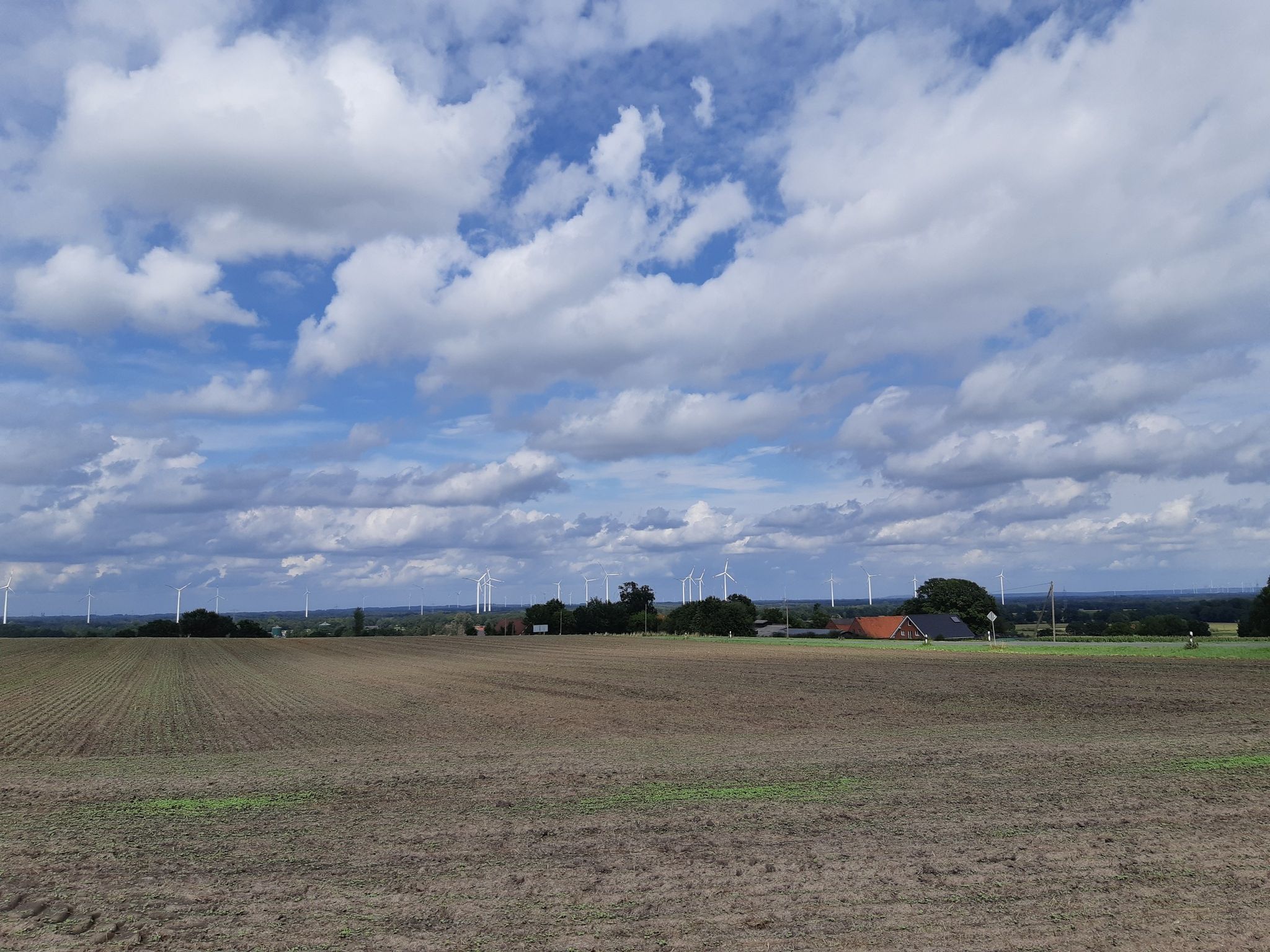 Hollicher Berg