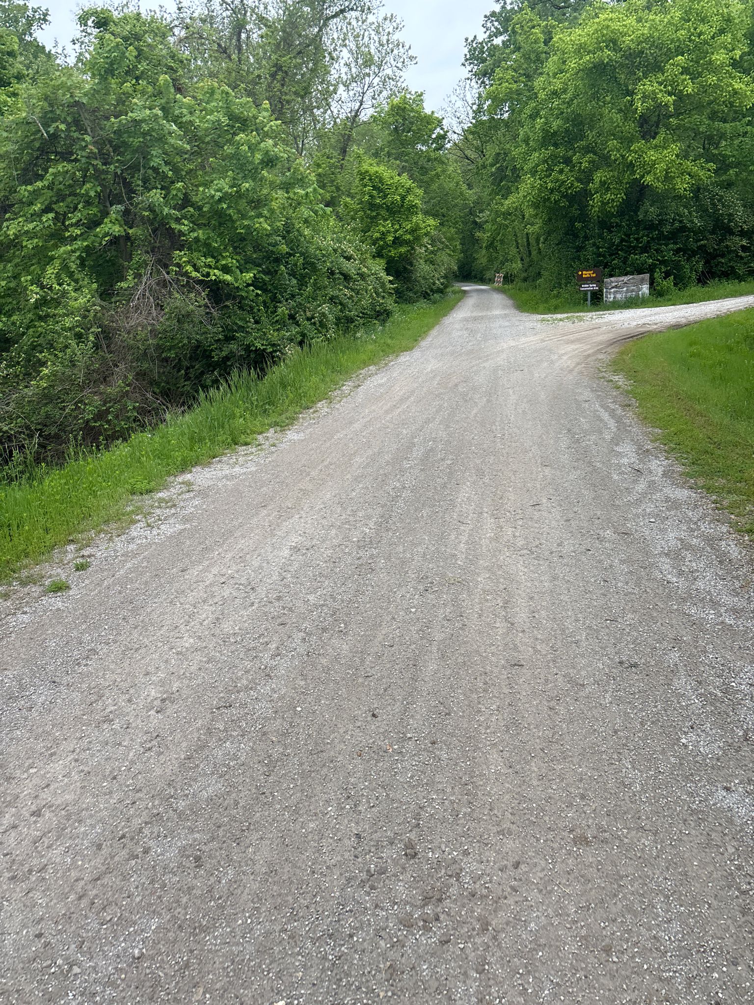 Gravel path forks into two directions, surrounded by green trees and grass. - Katy Trail – Daniel Boone Bridge Bike Path loop from Weldon Spring Heights