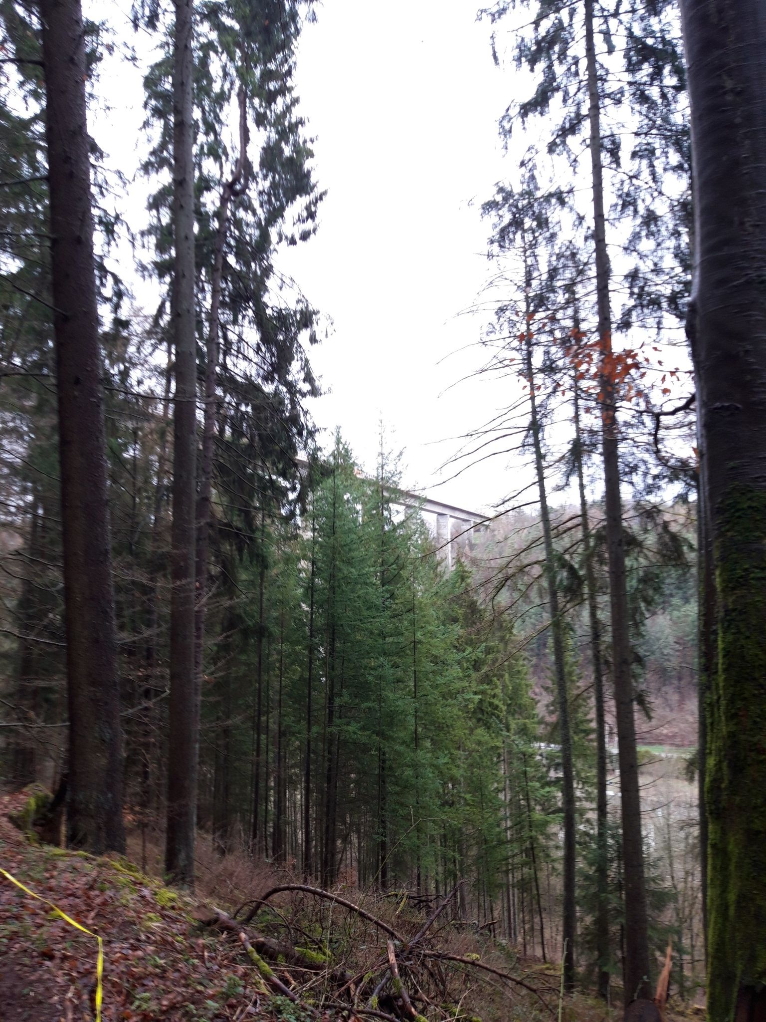 wandern 