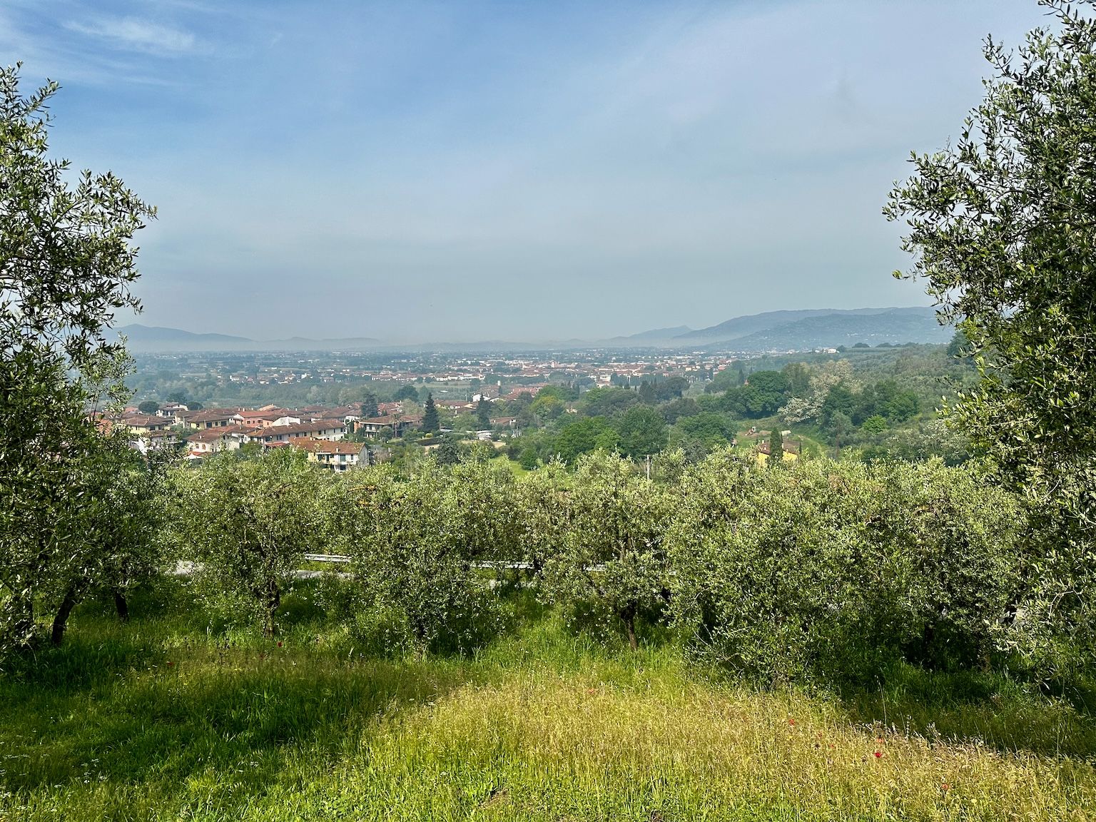 Val di Nievole (Tal des Nebels)