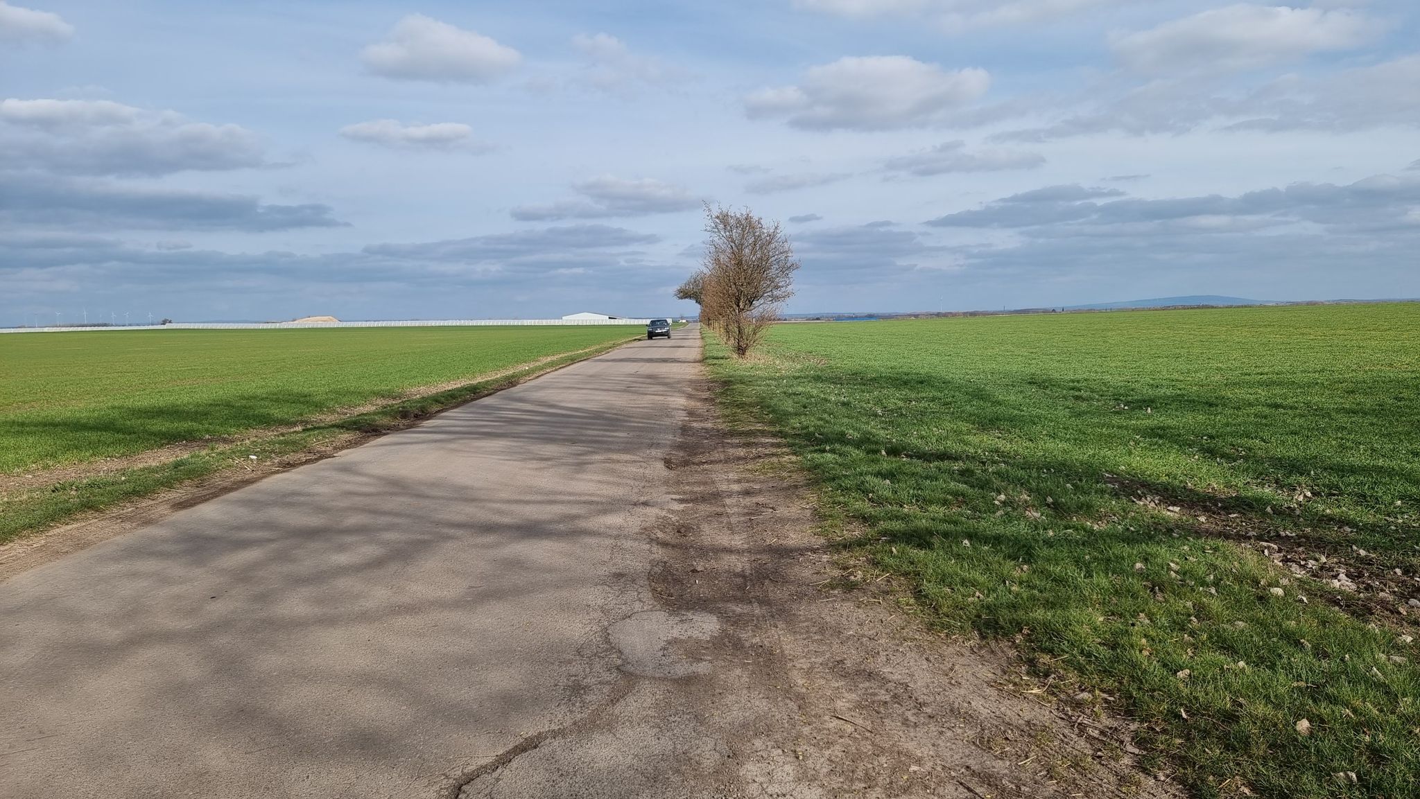 stupide Straße👎