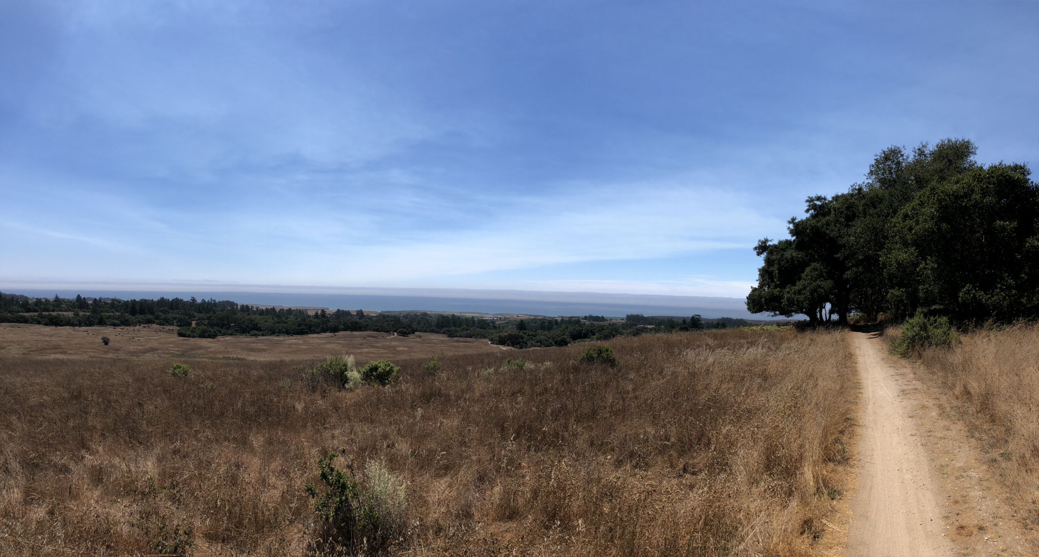 Panoramic view of a dry grassy field with a path and distant ocean. - Engelsman Loop Trail