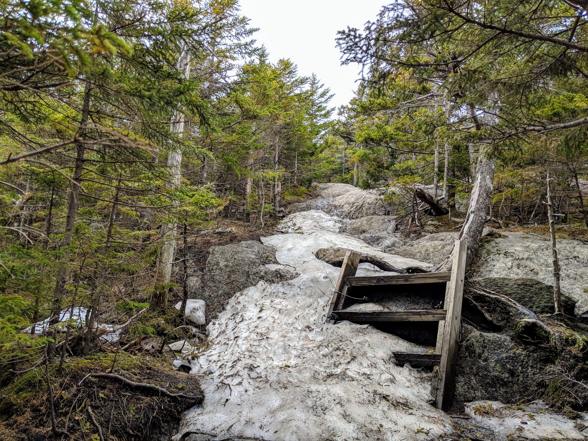 Snowy, rocky forest trail with wooden steps under an overcast sky. - Mount Hunger via Skyline Trail
