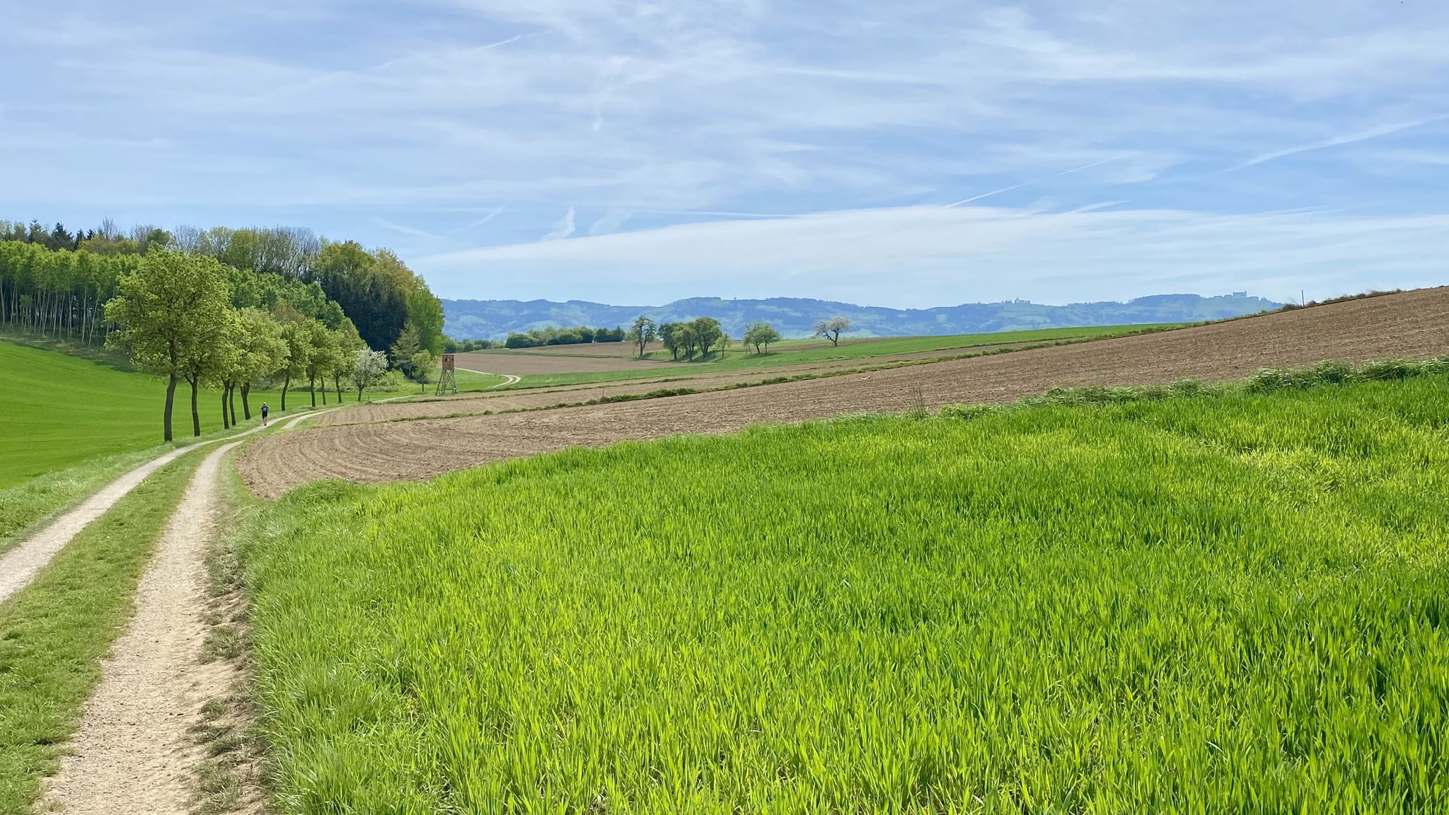Super Feldweg ab Aschbach-Dorf