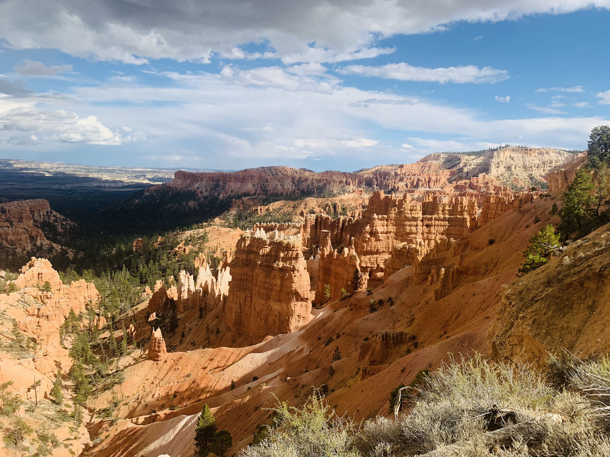 Panoramic view of a canyon with orange rock formations and dark green forests. - Lower Inspiration Point loop from Bryce Canyon Lodge