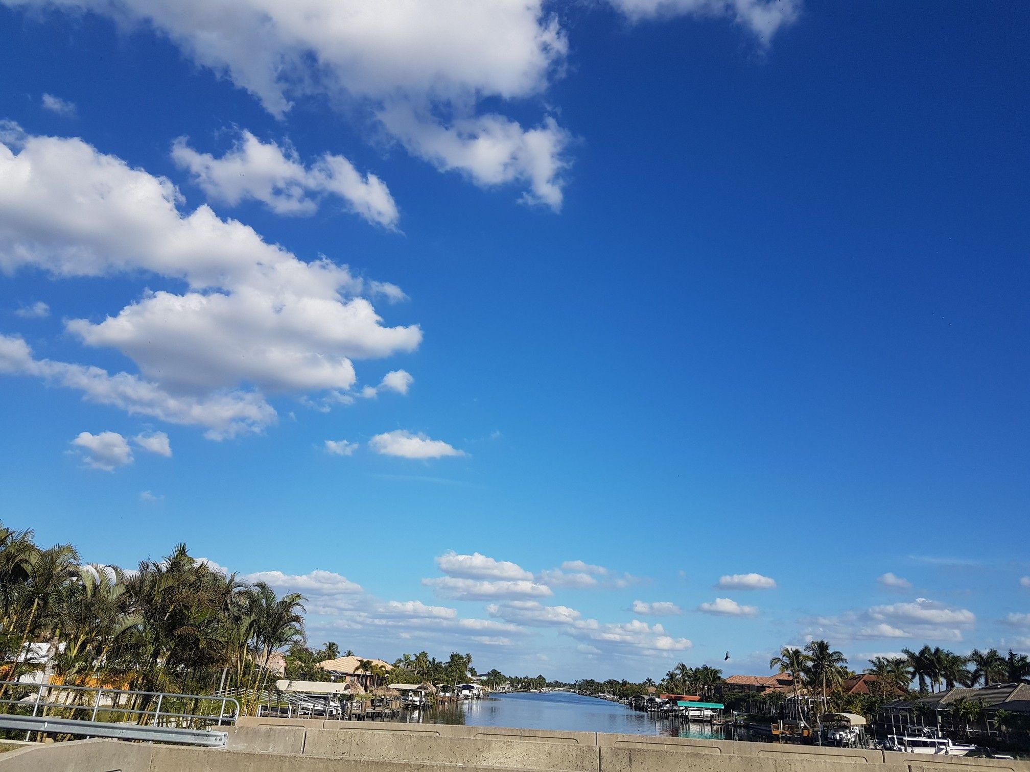A wide canal with houses and palm trees under a vast blue sky. - Rotary Park – Tarpon Marina Dolphin Fountain loop from Duke of Germany