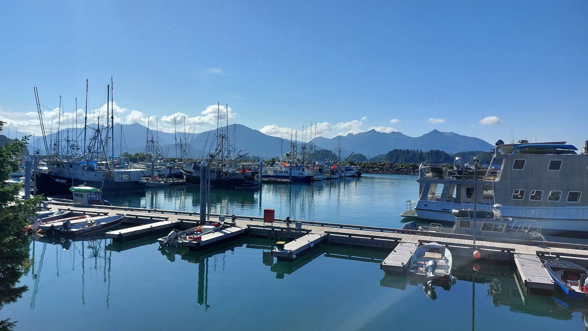 Busy marina with numerous boats and distant mountains under a bright blue sky. - Running loop from Sitka