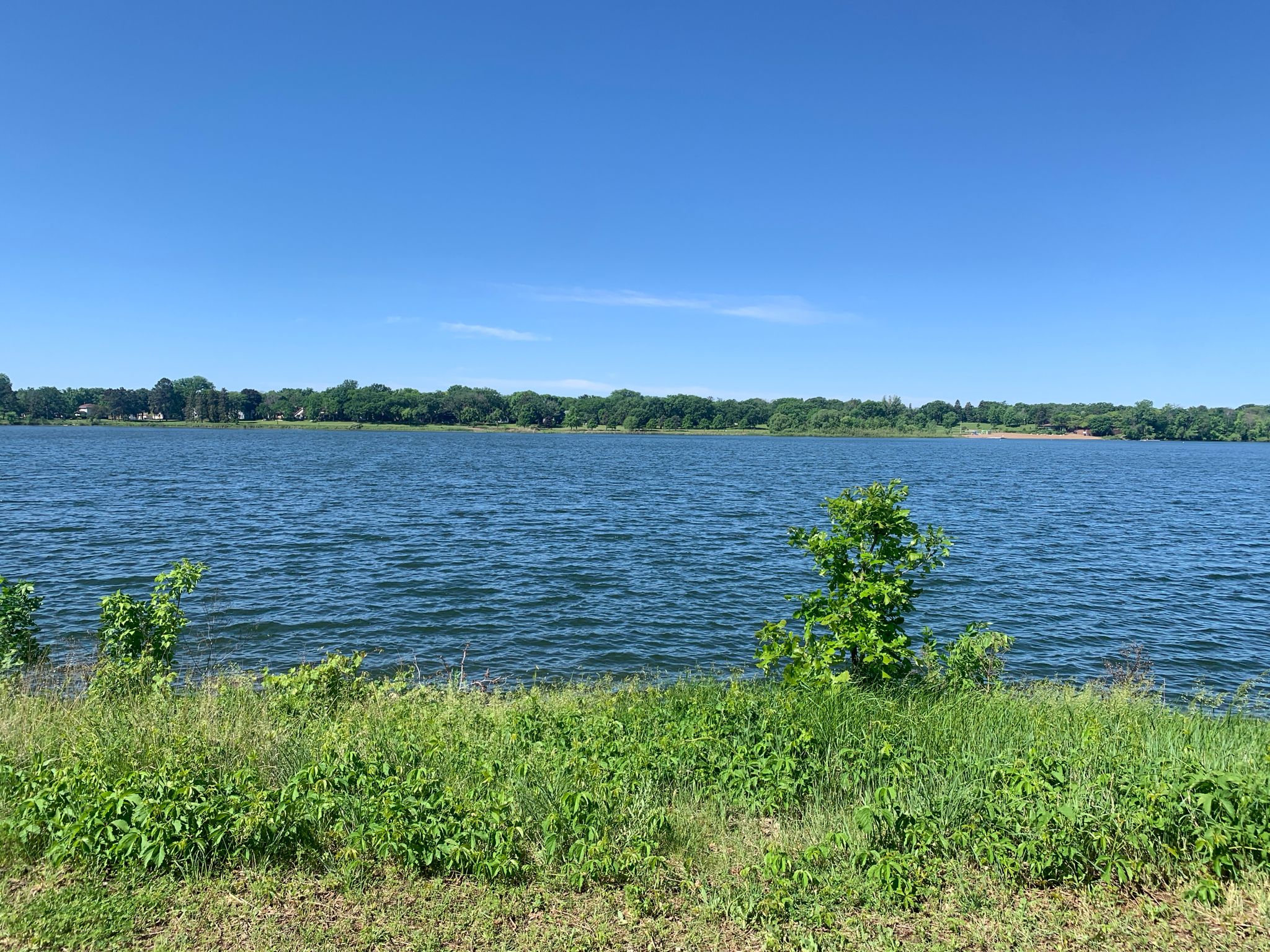 Bright sunny day over a wide lake with green shoreline and distant trees. - Lake Phalen Trail