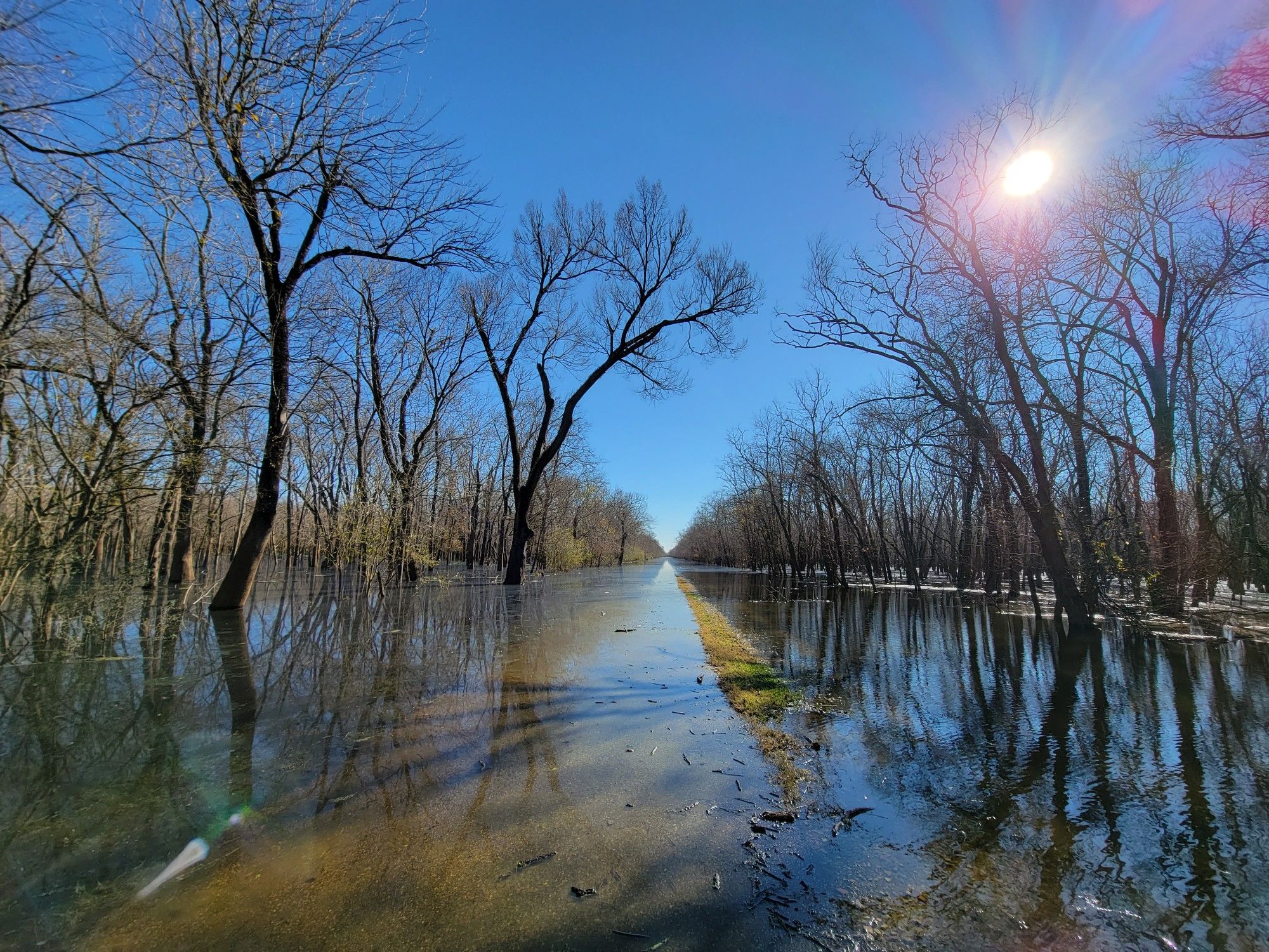 Wide view of a flooded path and bare trees under a bright, sunny sky. - George Bush Park Hike and Bike Trail