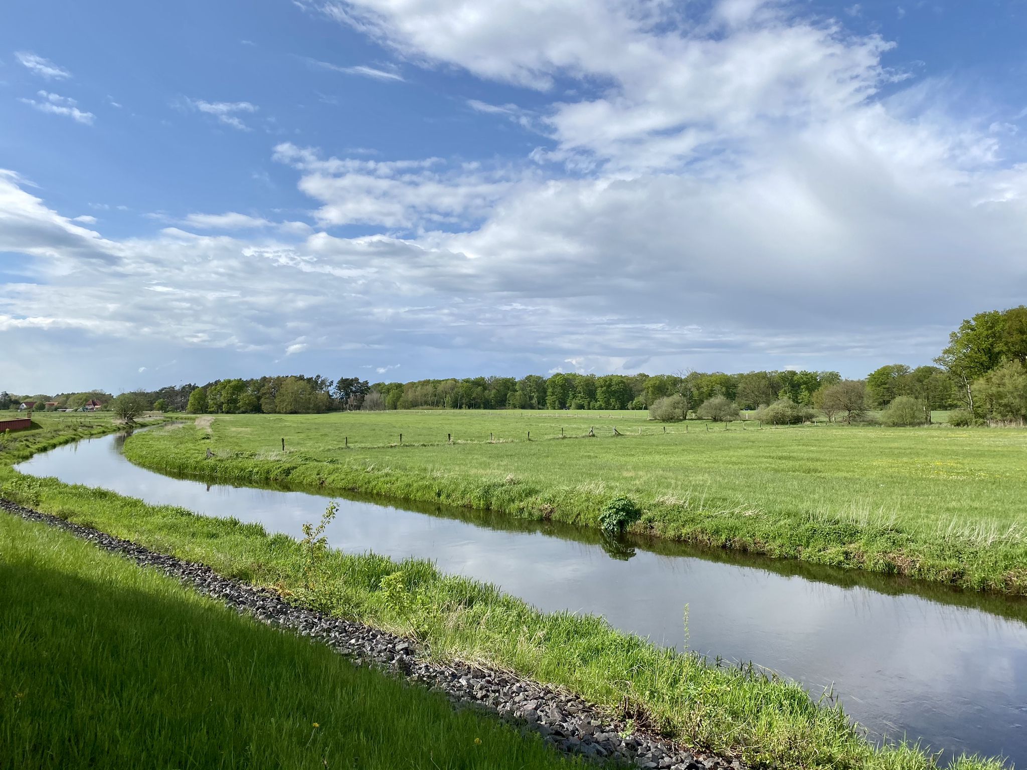 Deich vor Rosien