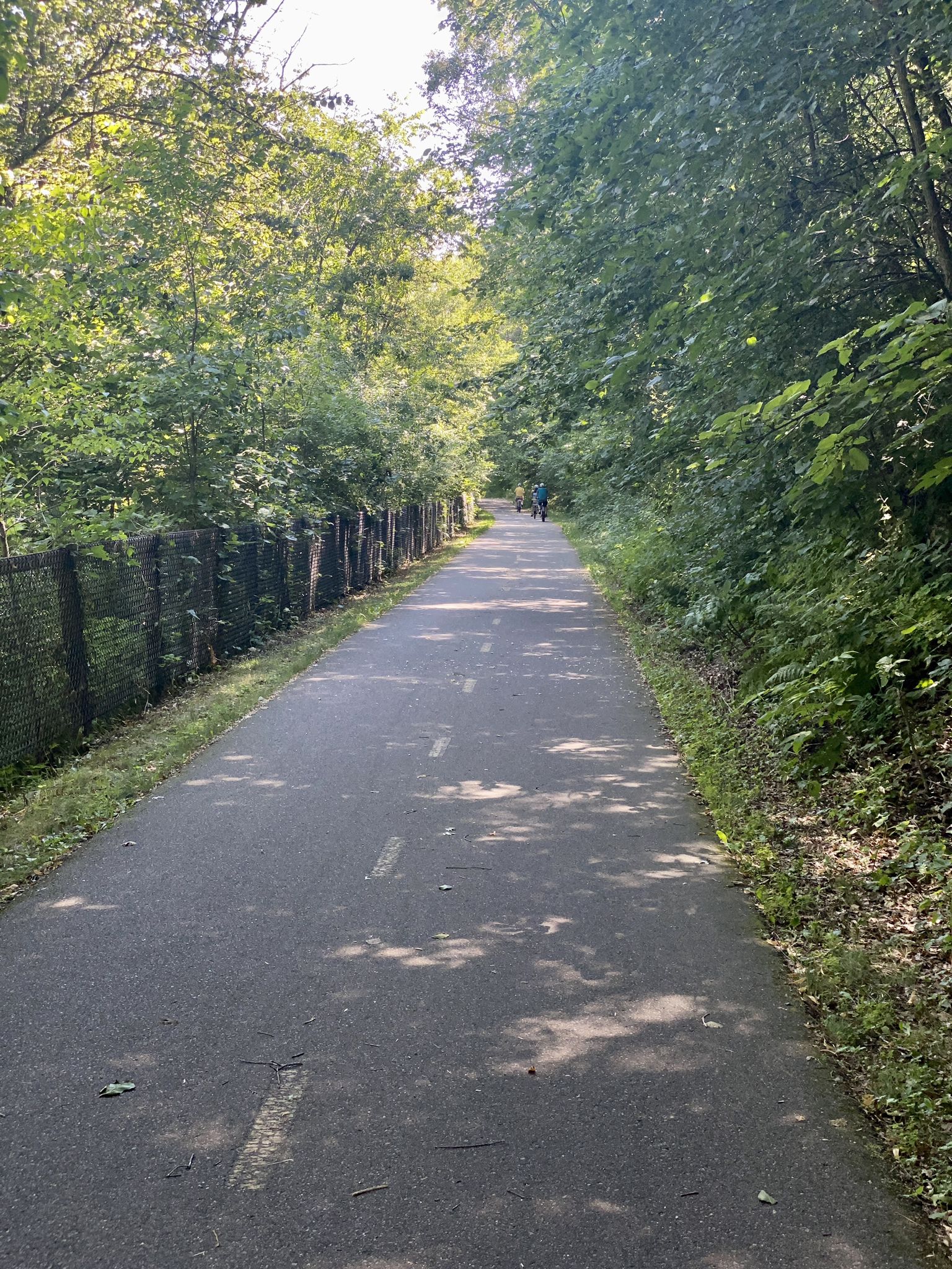 Paved trail through a sun-dappled forest with distant walkers. - Scenic overlook – Lake McKusick loop from Brown's Creek State Trail - Coldwater Stop
