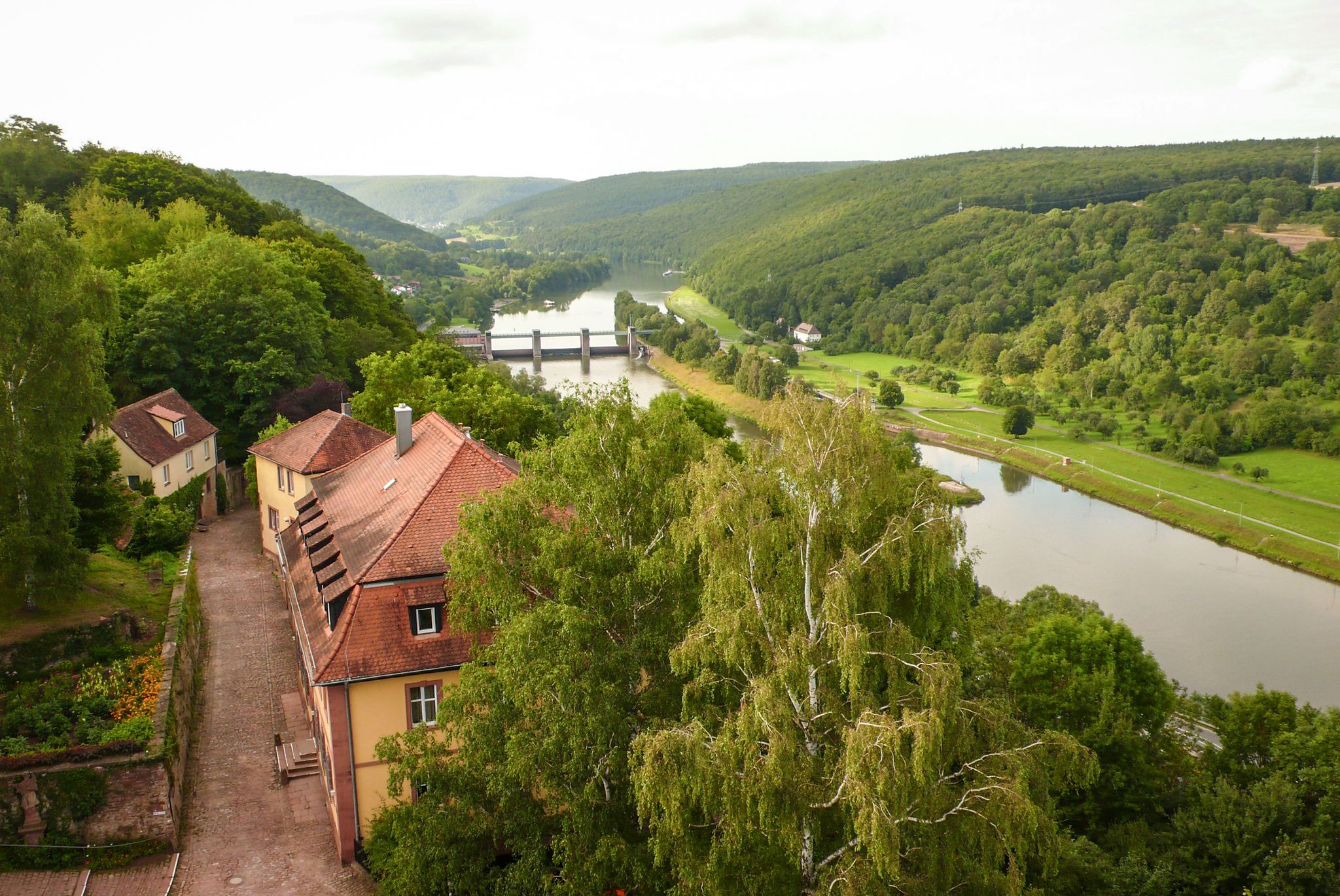 Blick auf den Main