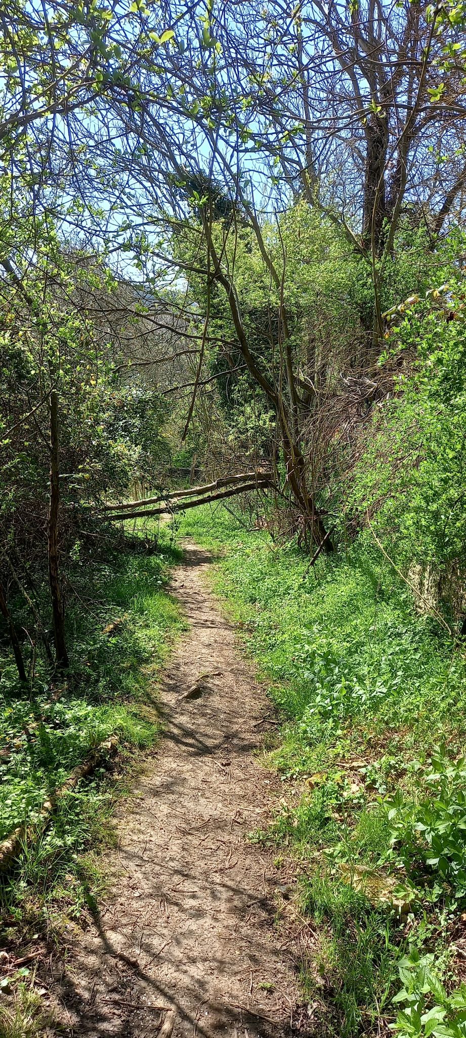 Chemin de contournement du château de Menilles.