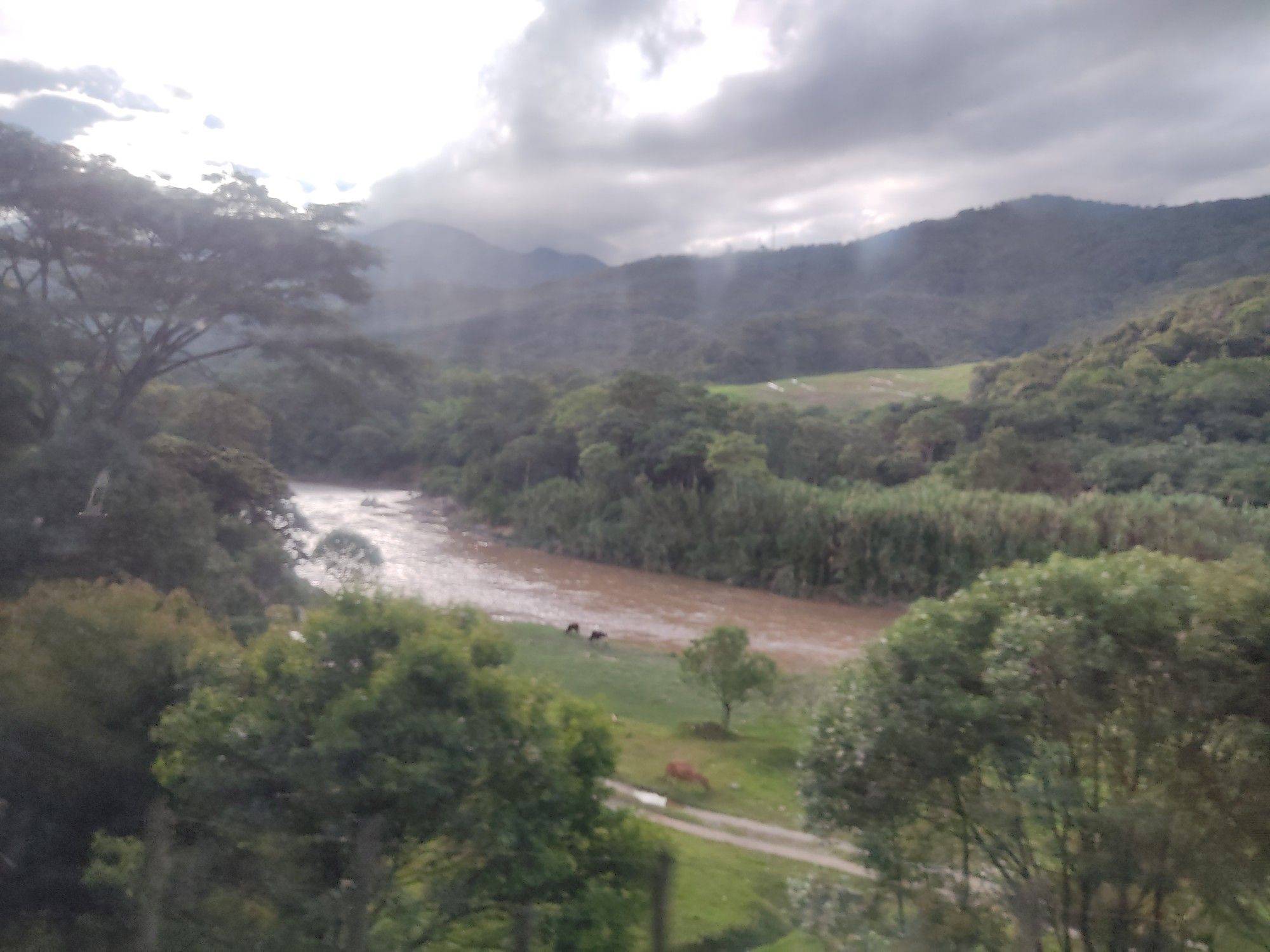 Pradera