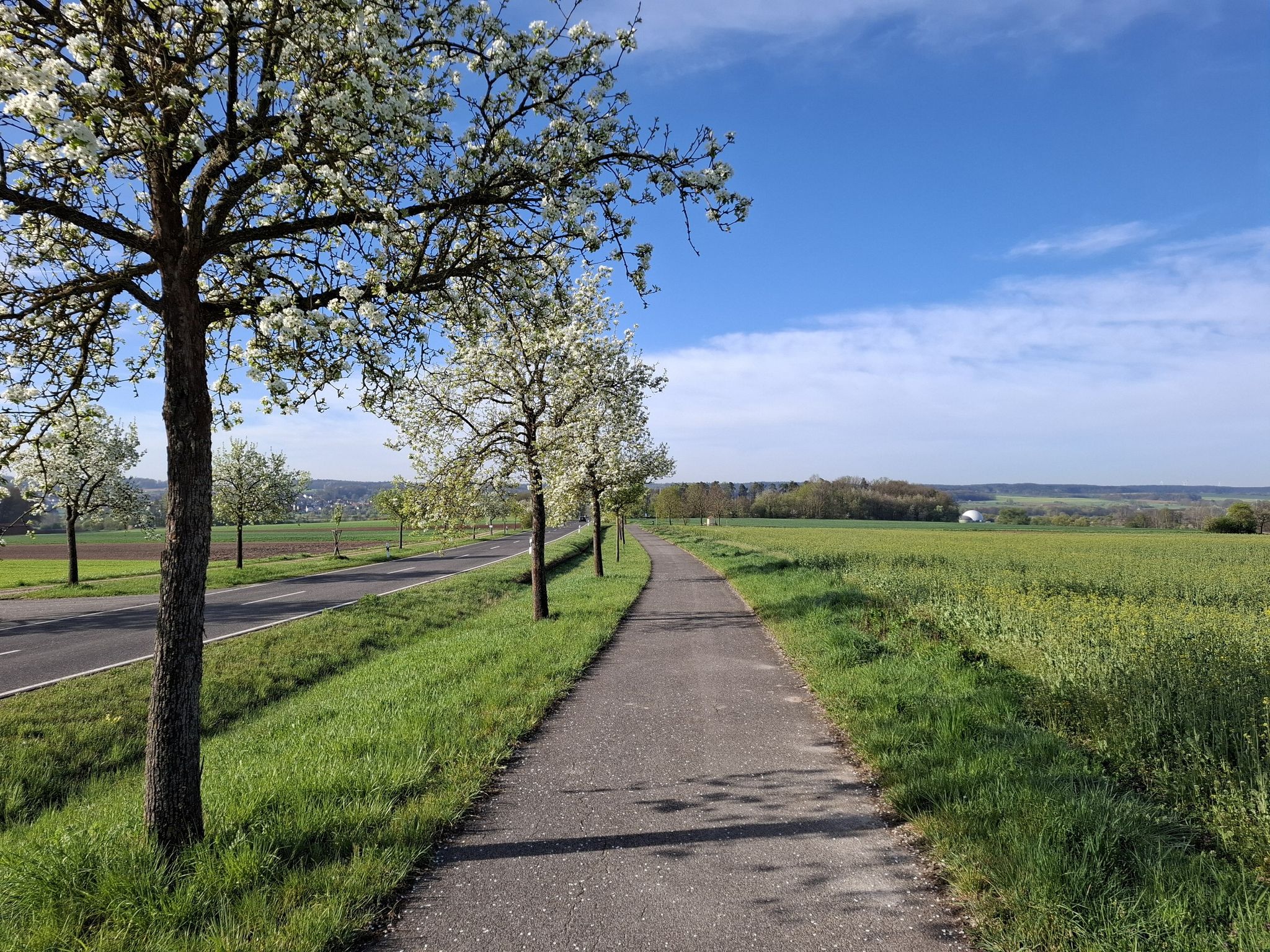 Radweg bei Obergreuth