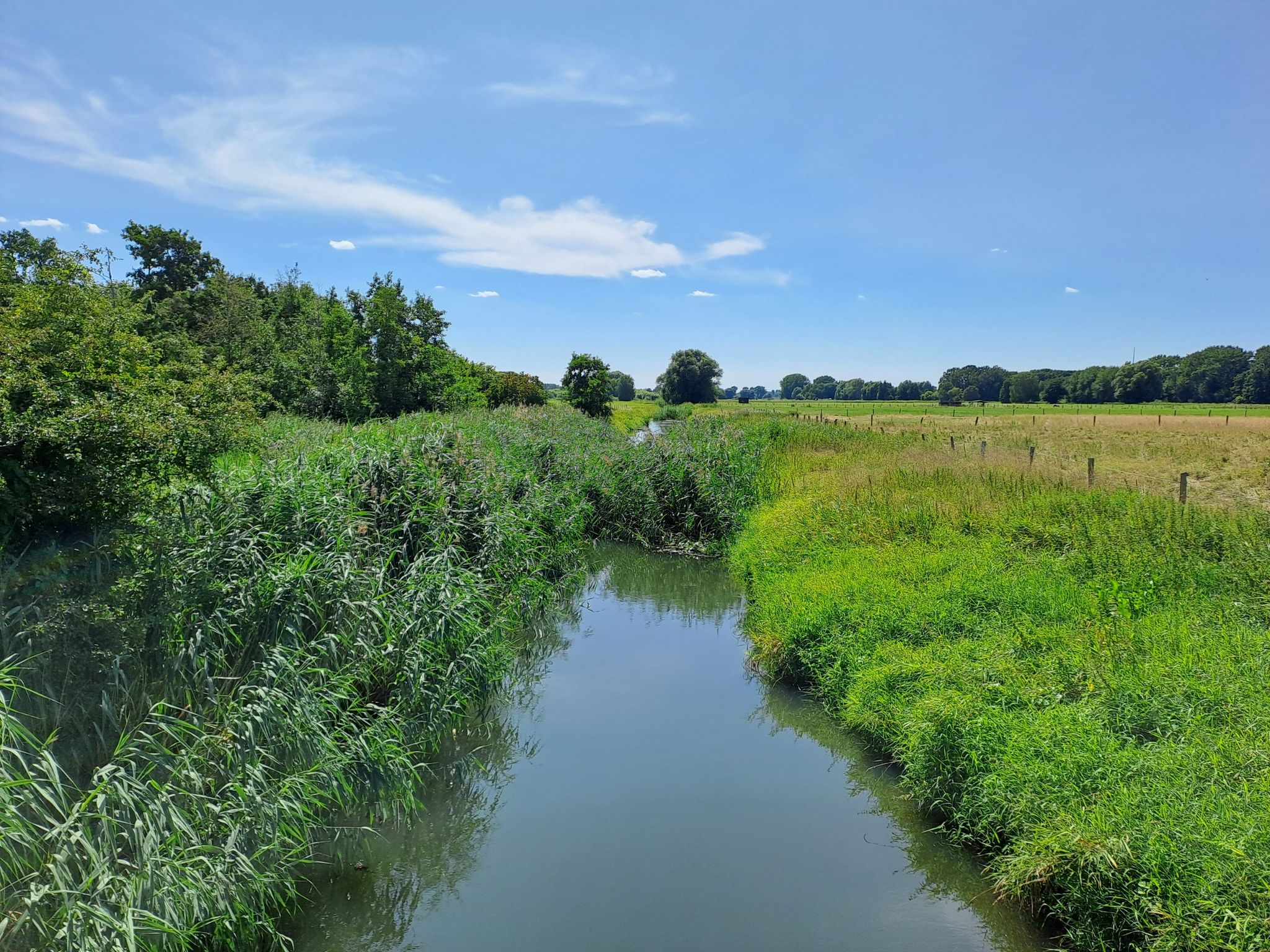 Fuhse mit der Mündung des Schwarzwasser
