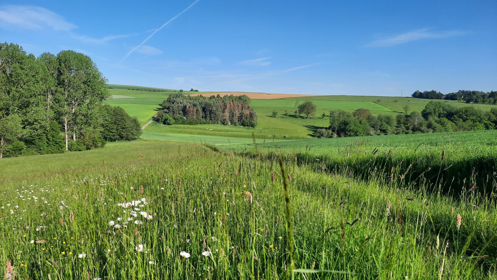 Krebsbachtal