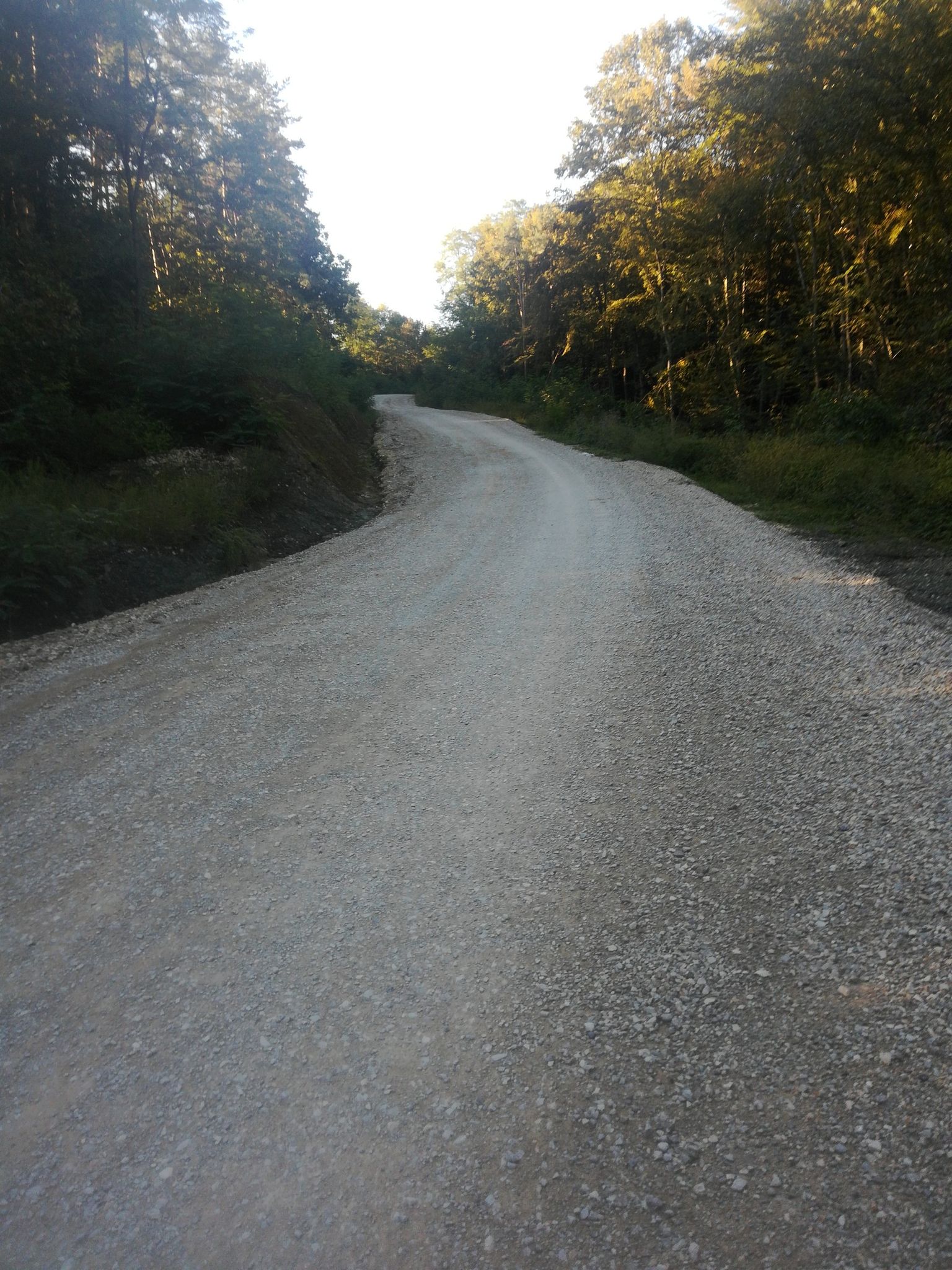 prva pauza