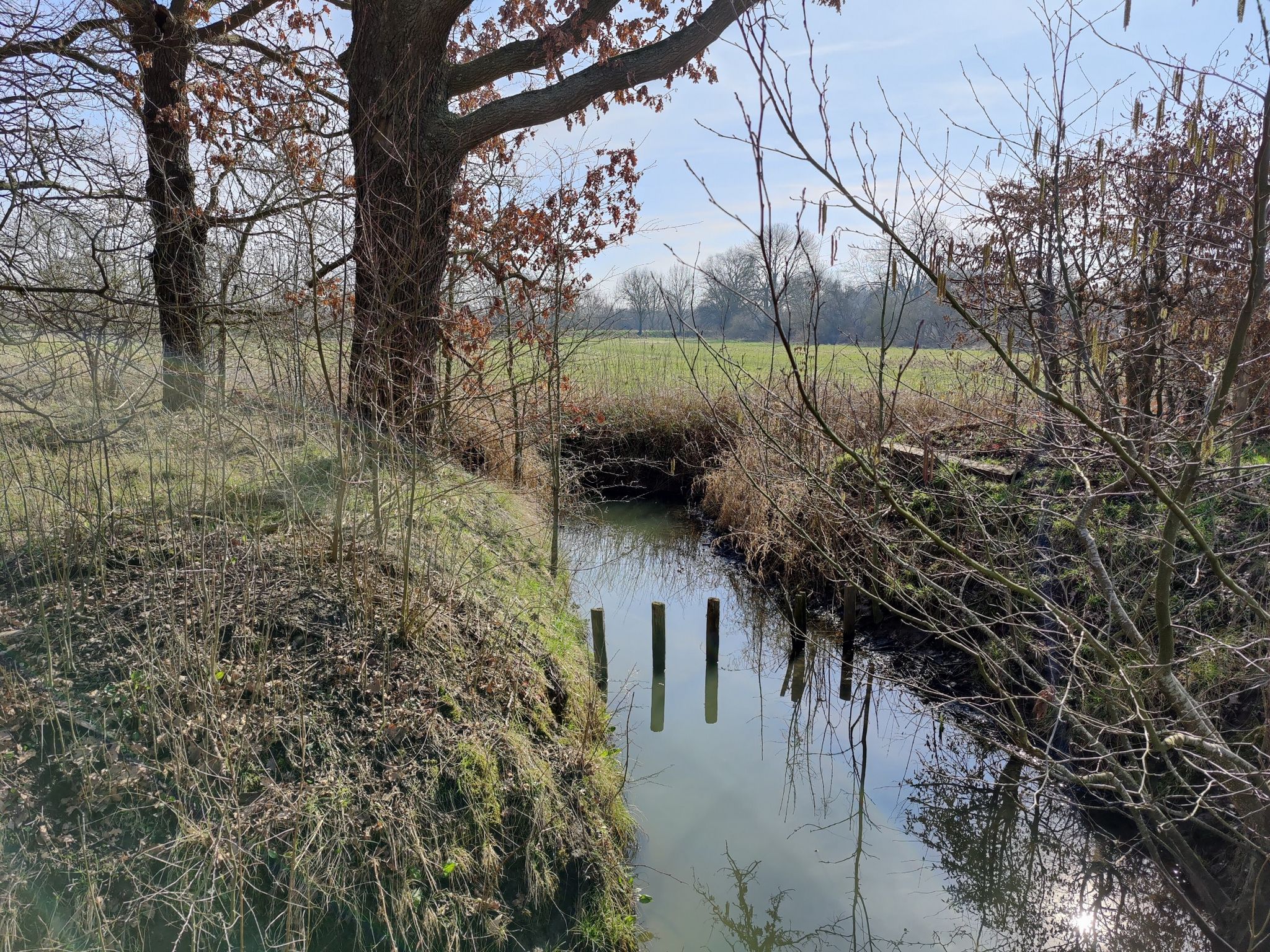Dorent Nelebroek