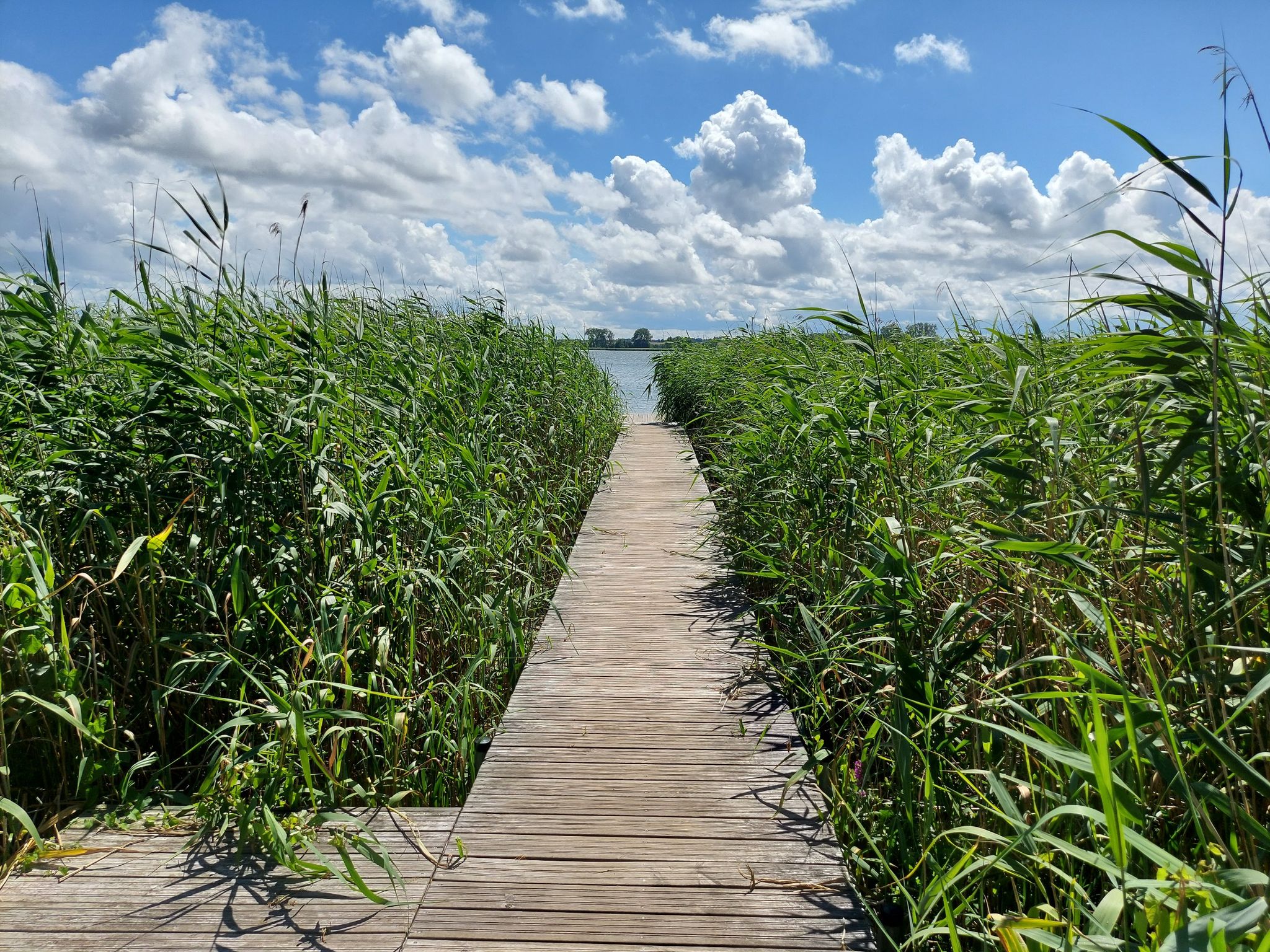 Weg ans Wasser