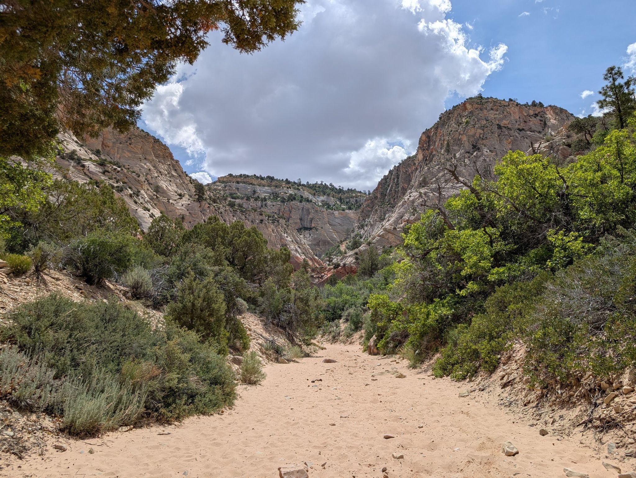 Sandy path leads into a green canyon under a bright, cloudy sky. - Red Hollow Slot Canyon Trail